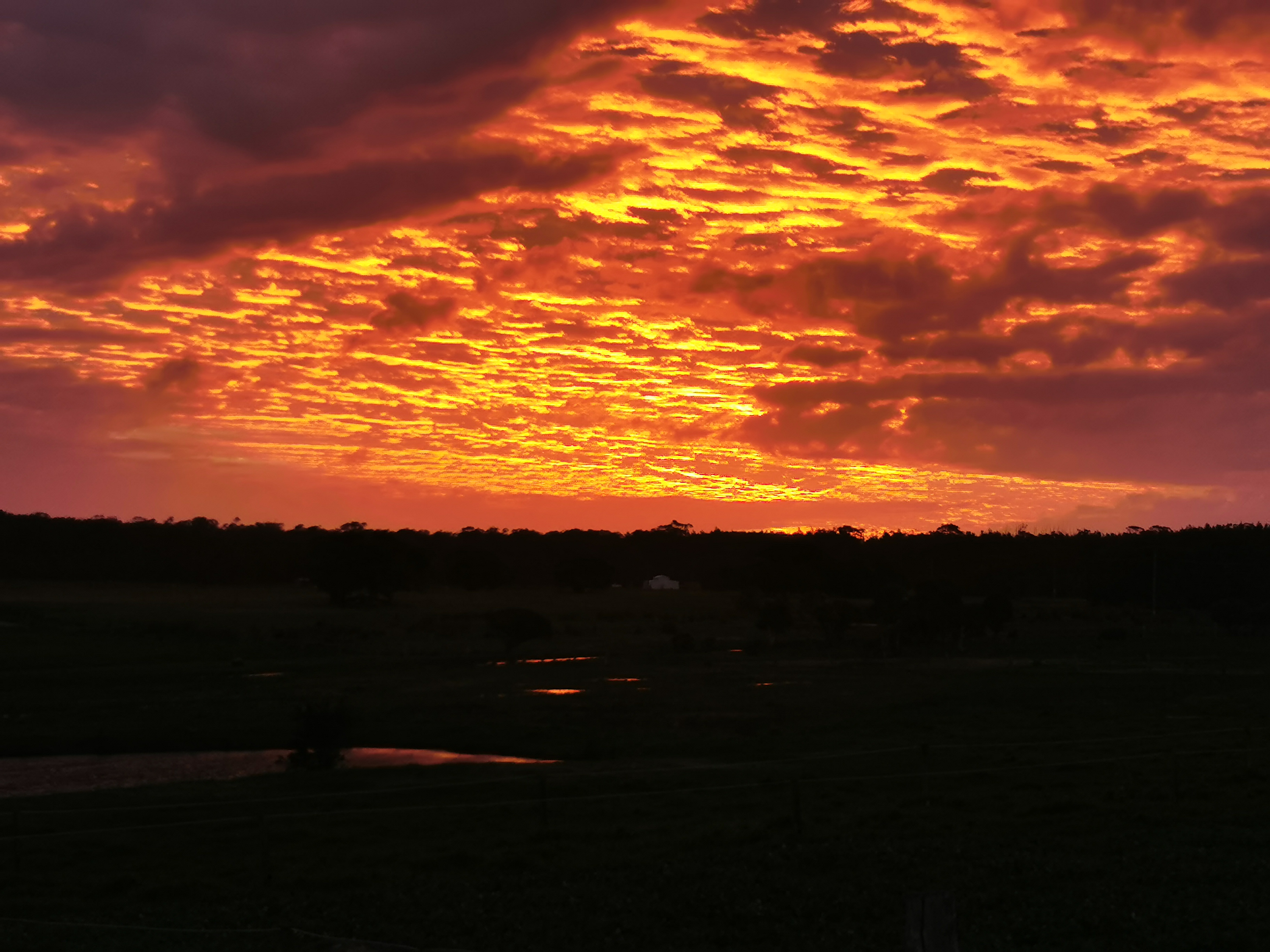 Deepdene Farmstay Camping