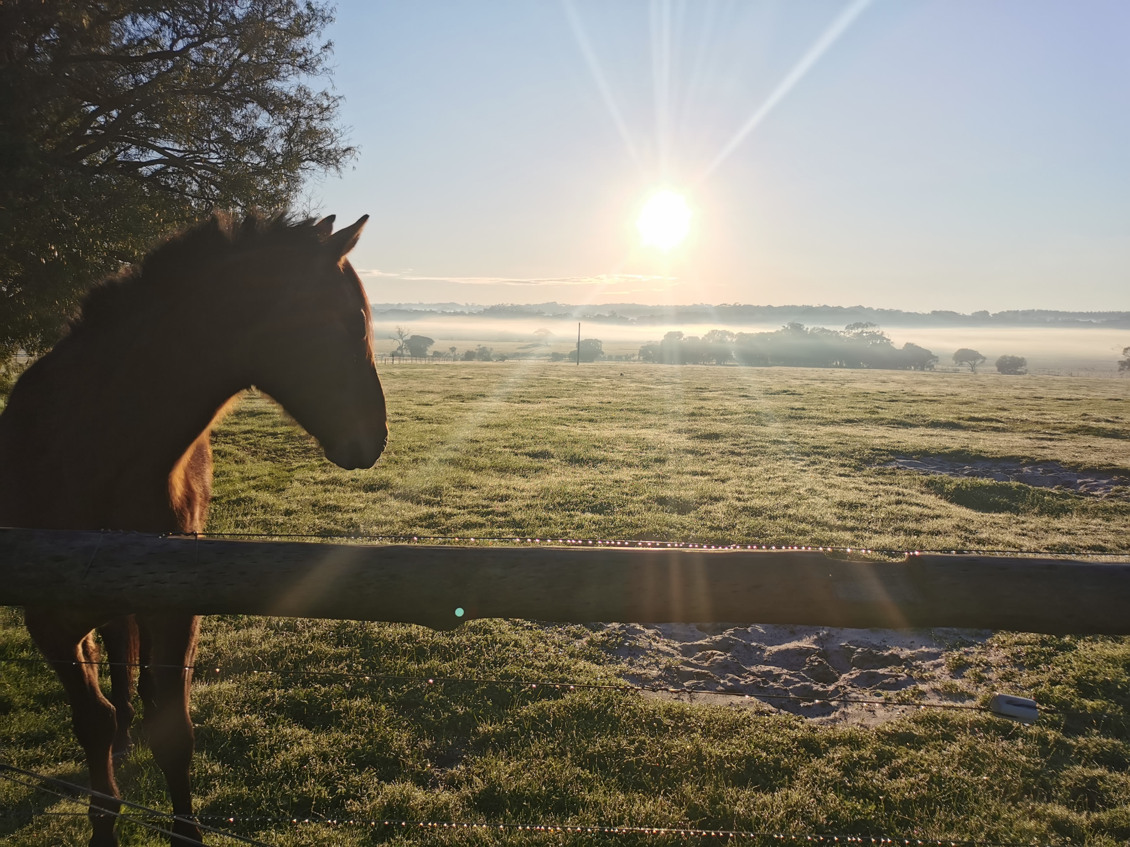 Deepdene Farmstay Camping