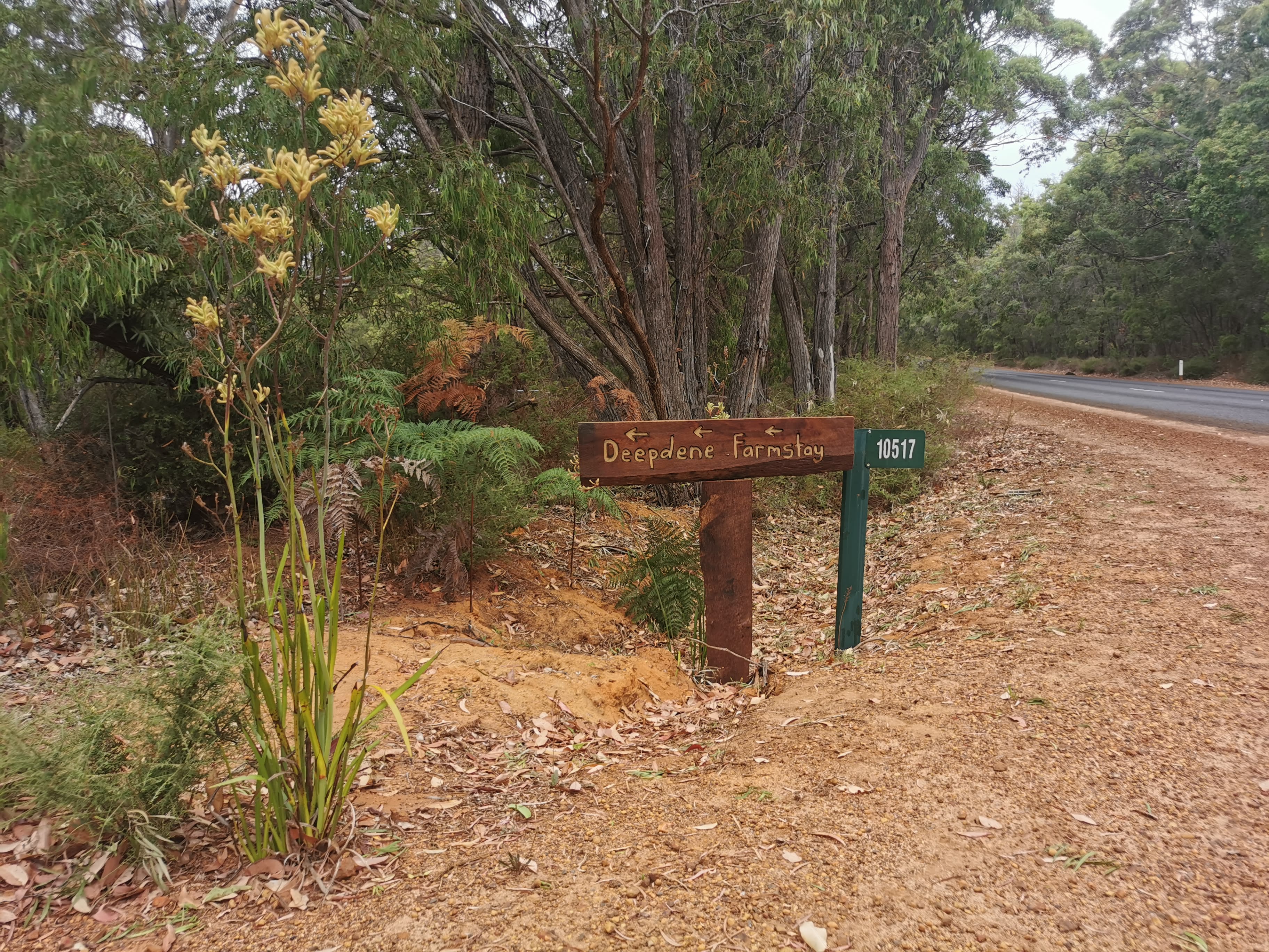 Grass Roots Deepdene