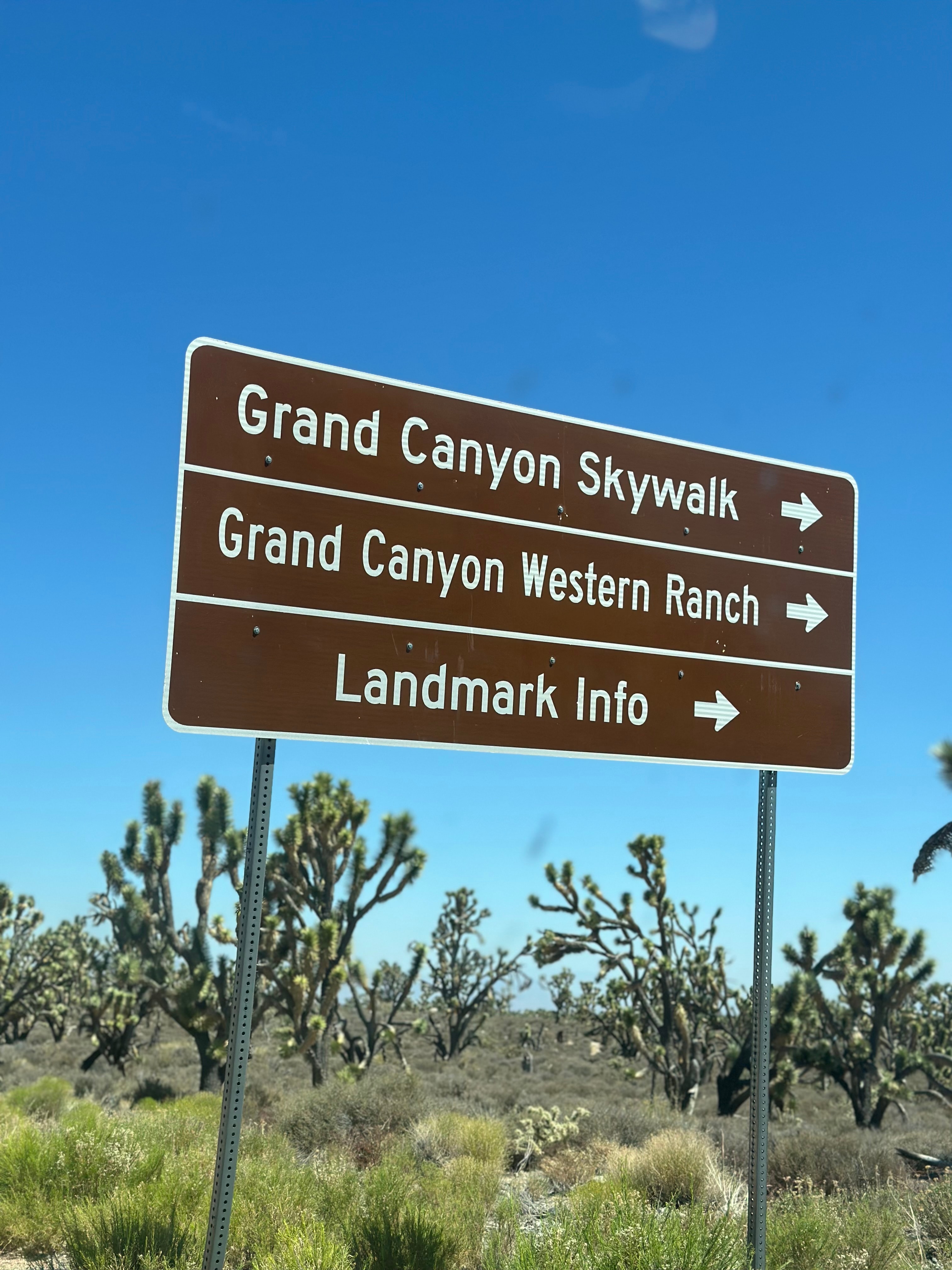 SolarPunk Ville at AlohaCo-Op