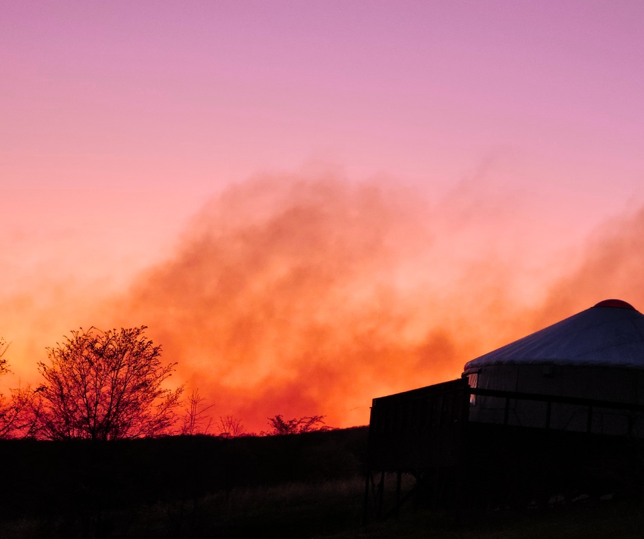 One of our Vista yurts at sunset.