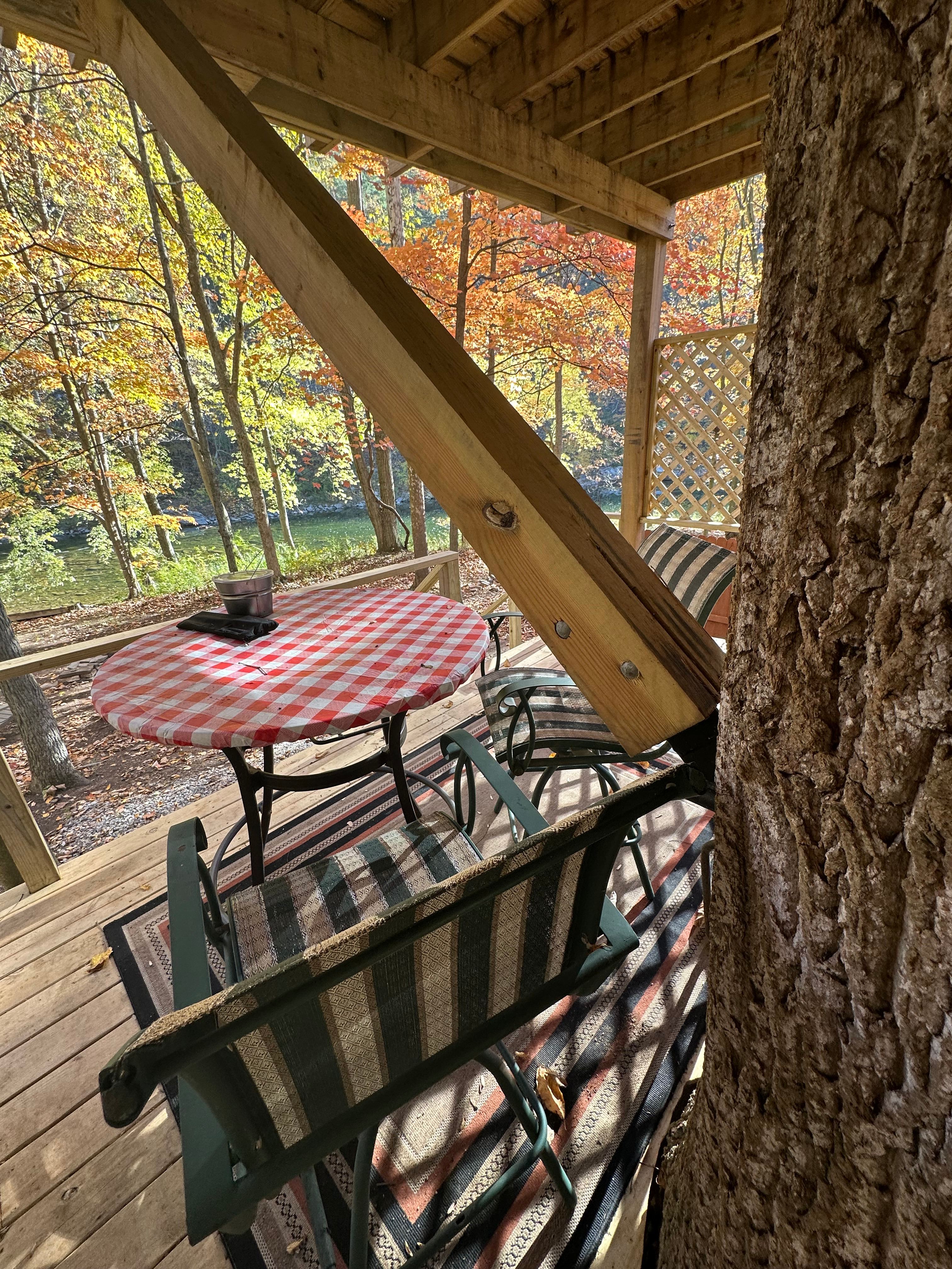 Treehouse Waters On The River