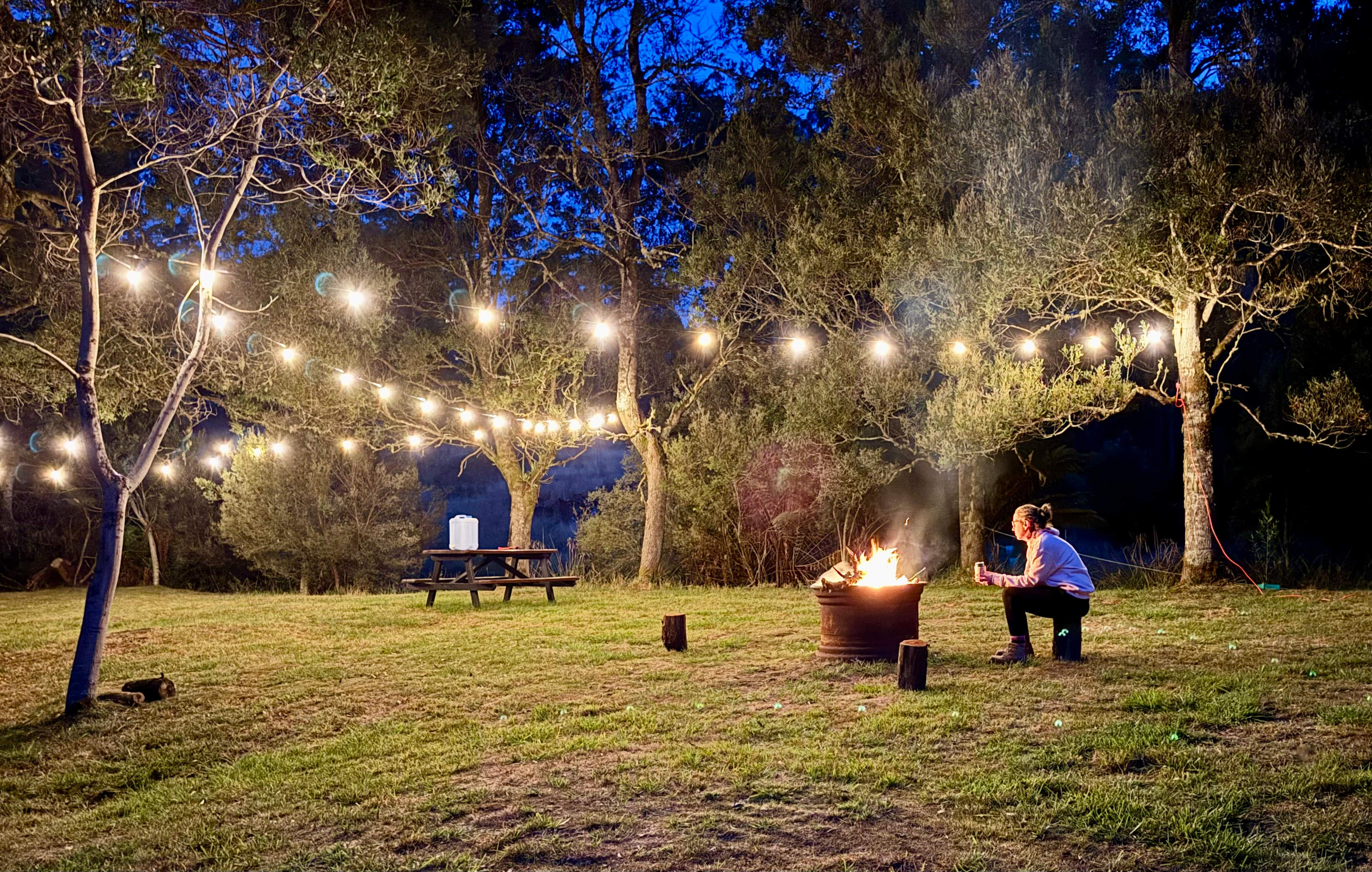 🐞🌿 Ladybug Camping 🌿🐞
