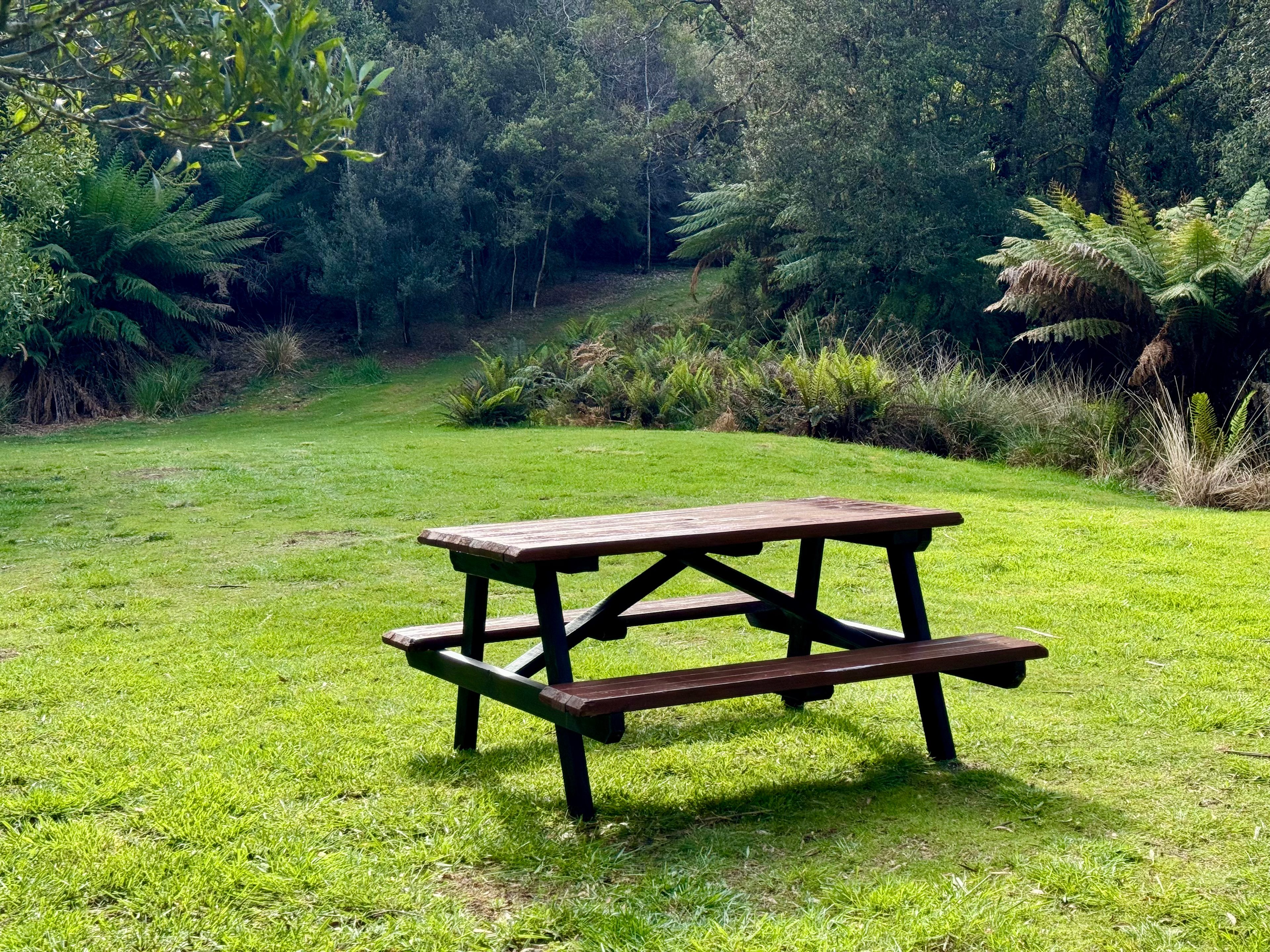 🐞🌿 Ladybug Camping 🌿🐞