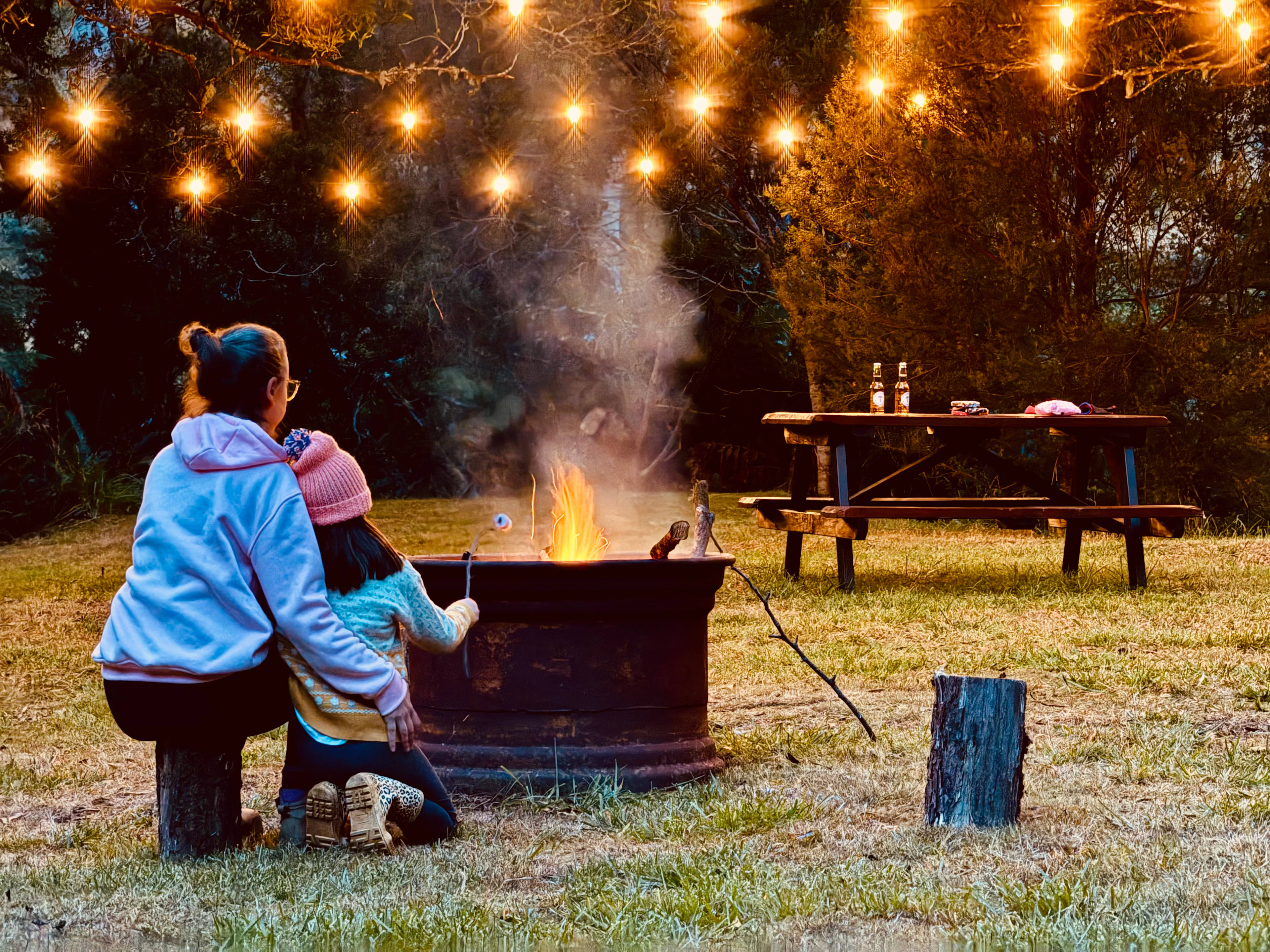 🐞🌿 Ladybug Camping 🌿🐞