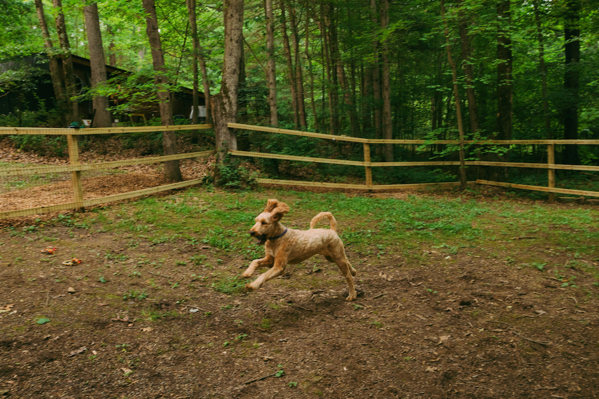 Elevated RV Camping at Rustic Acres