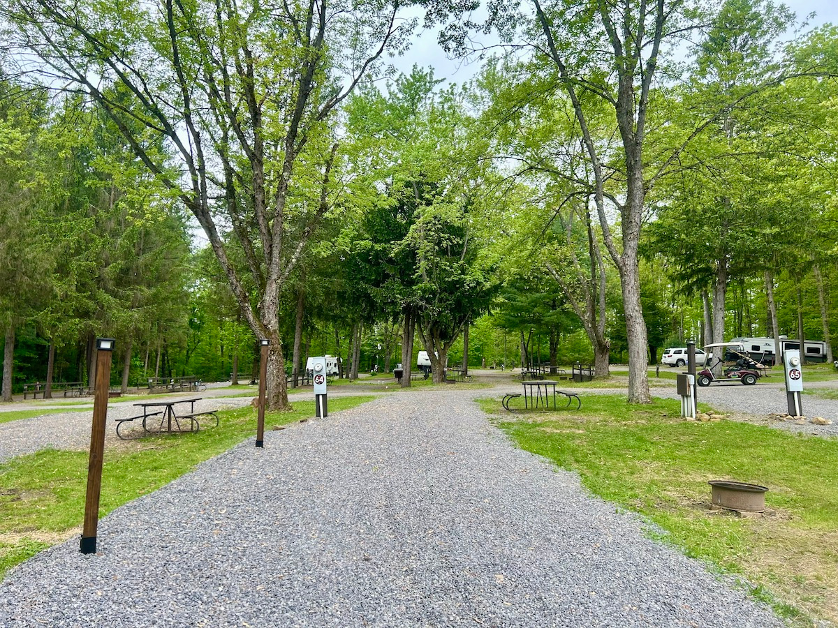 Spacious pull-thru RV sites with full hookups and easy access for large rigs — forest views and pet-friendly camping