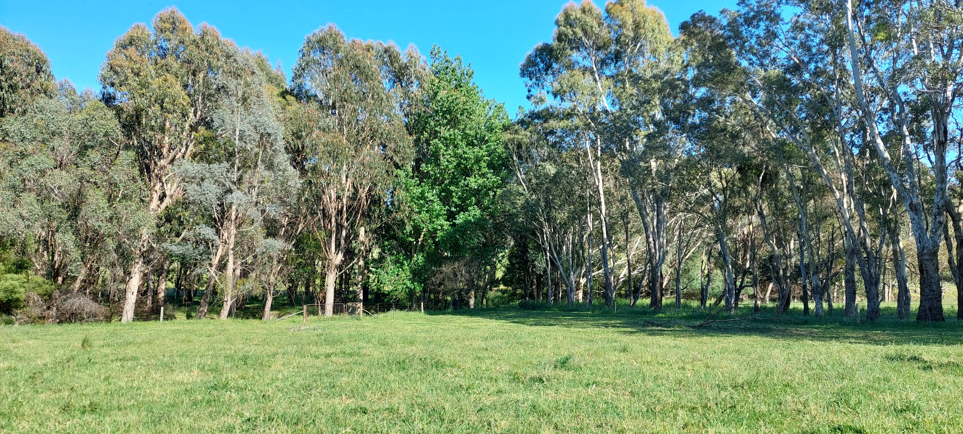 Blackwood Park - Lima East Valley