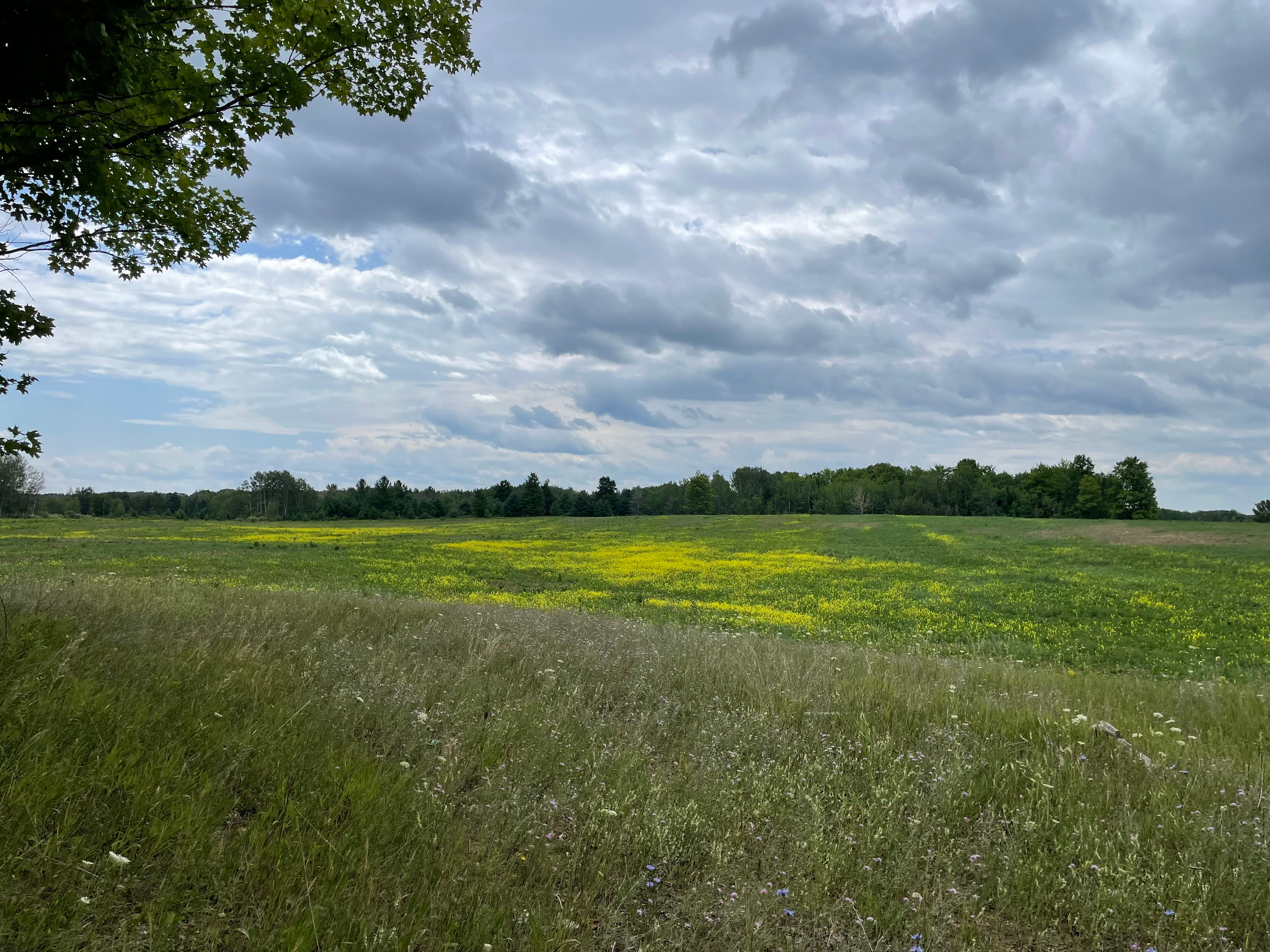 TWIN SCHOOL RD RV Private Property