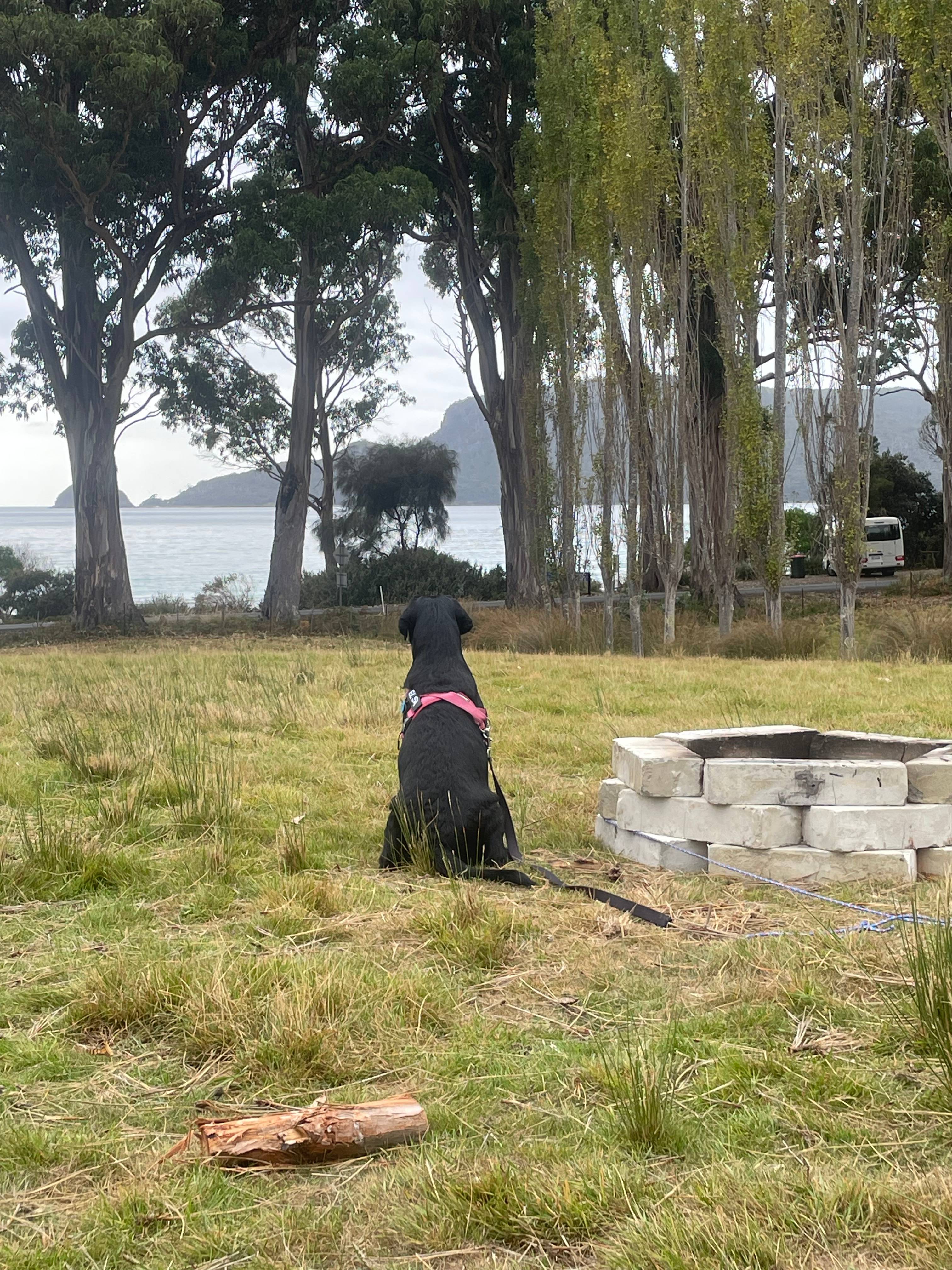 Beach Views - Resolution Farm