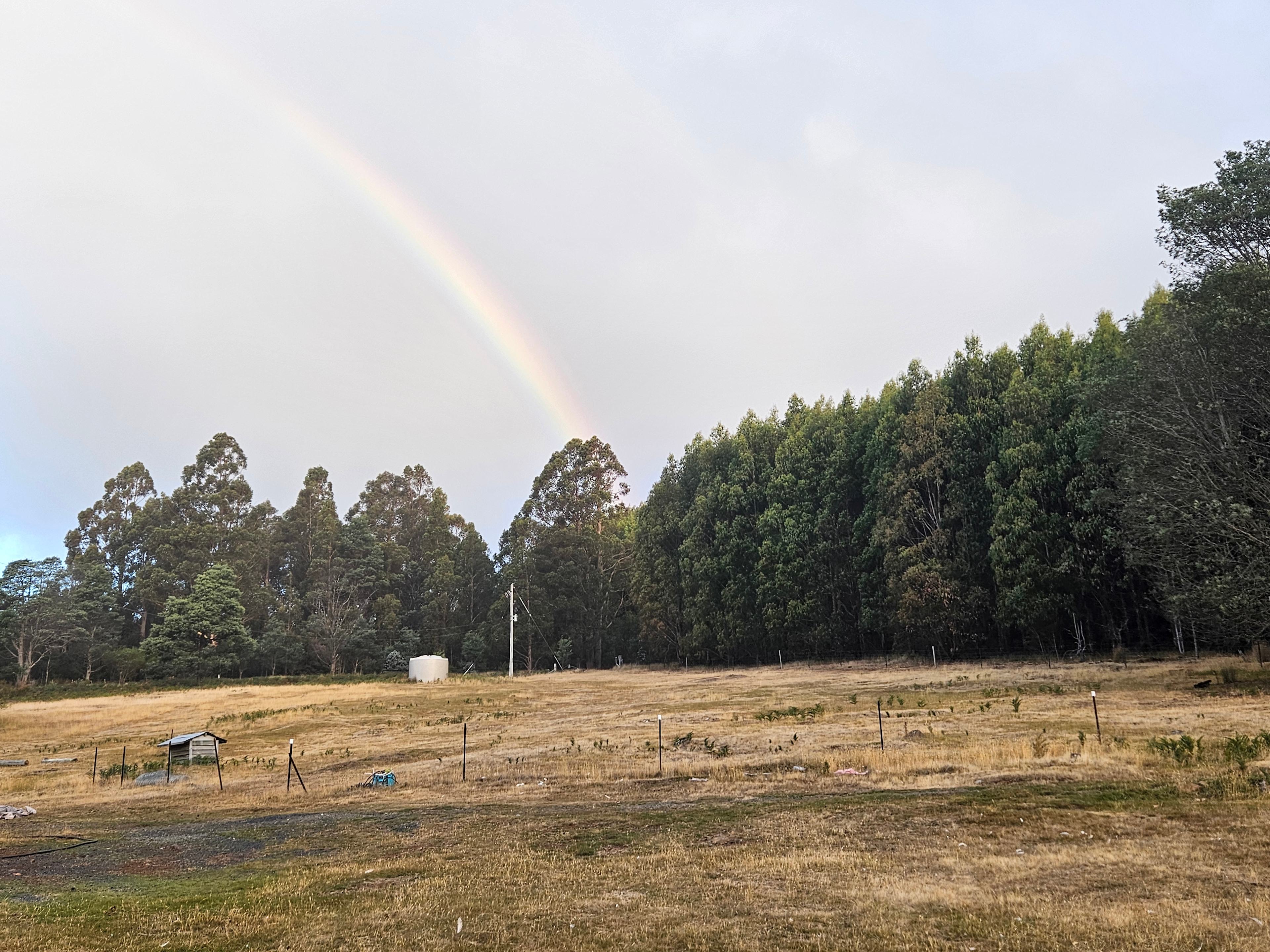 Bushy Mountain Views