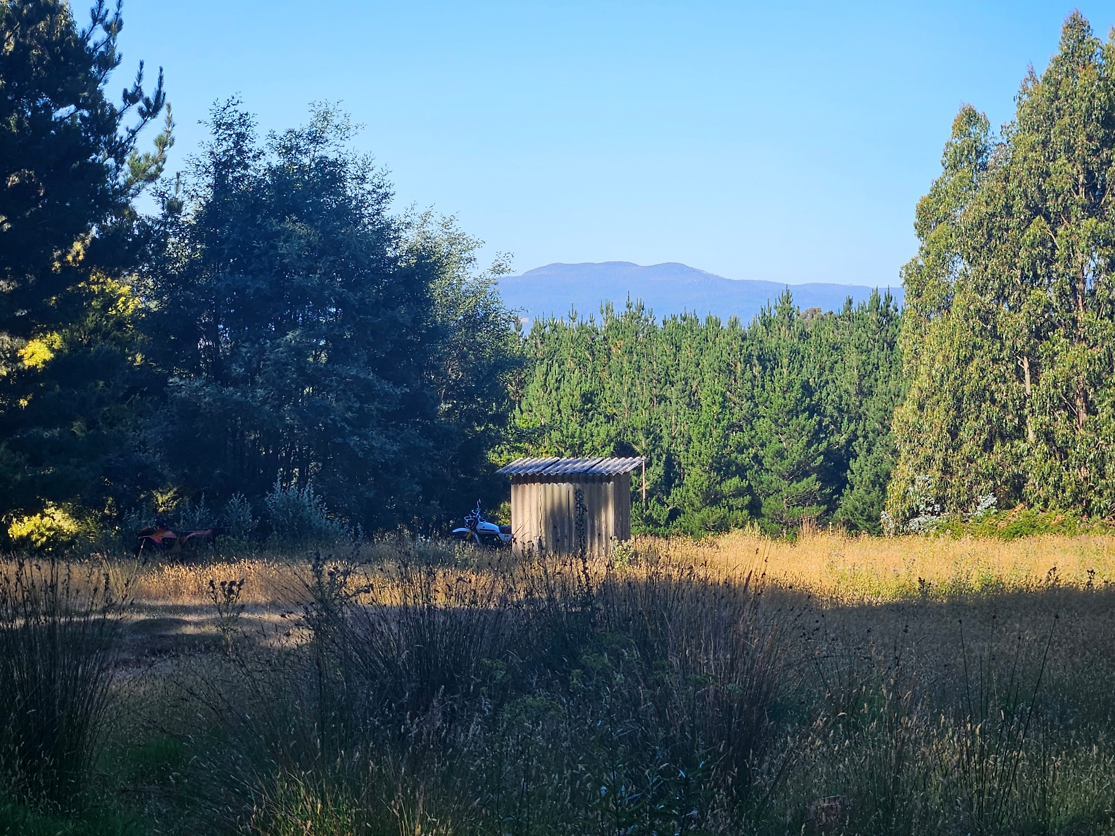 Bushy Mountain Views