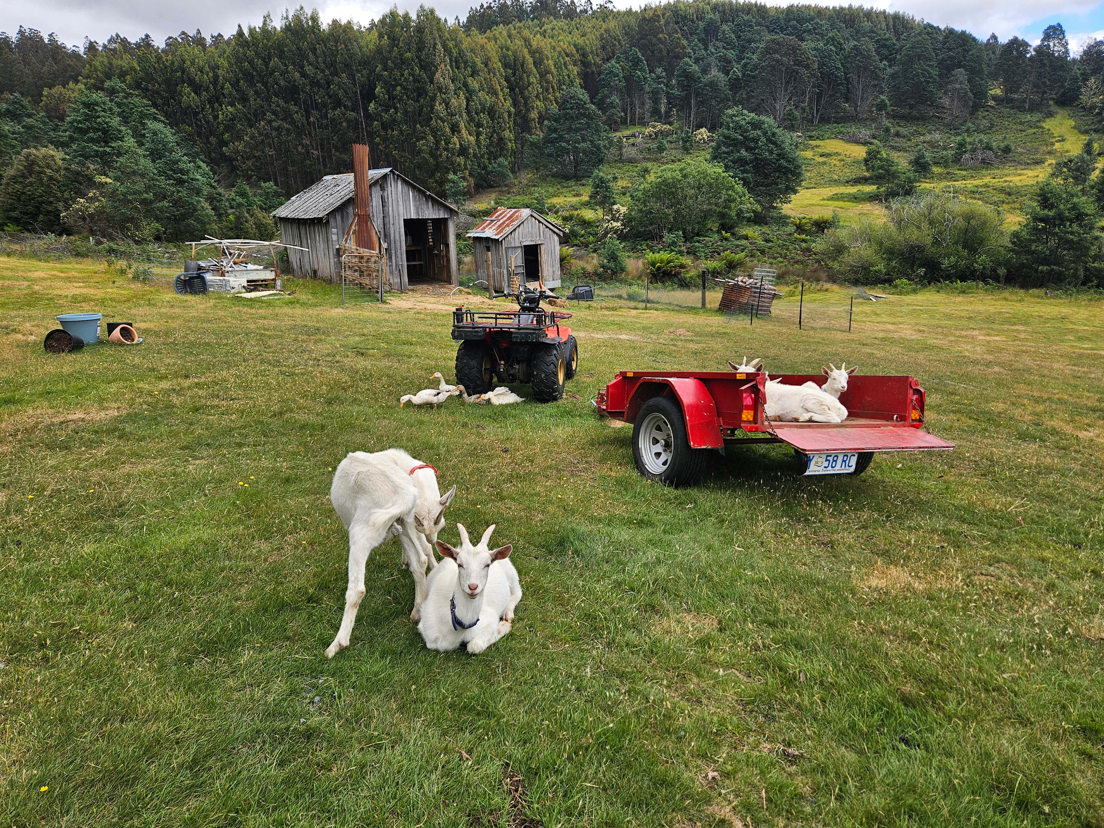 Bushy Mountain Views