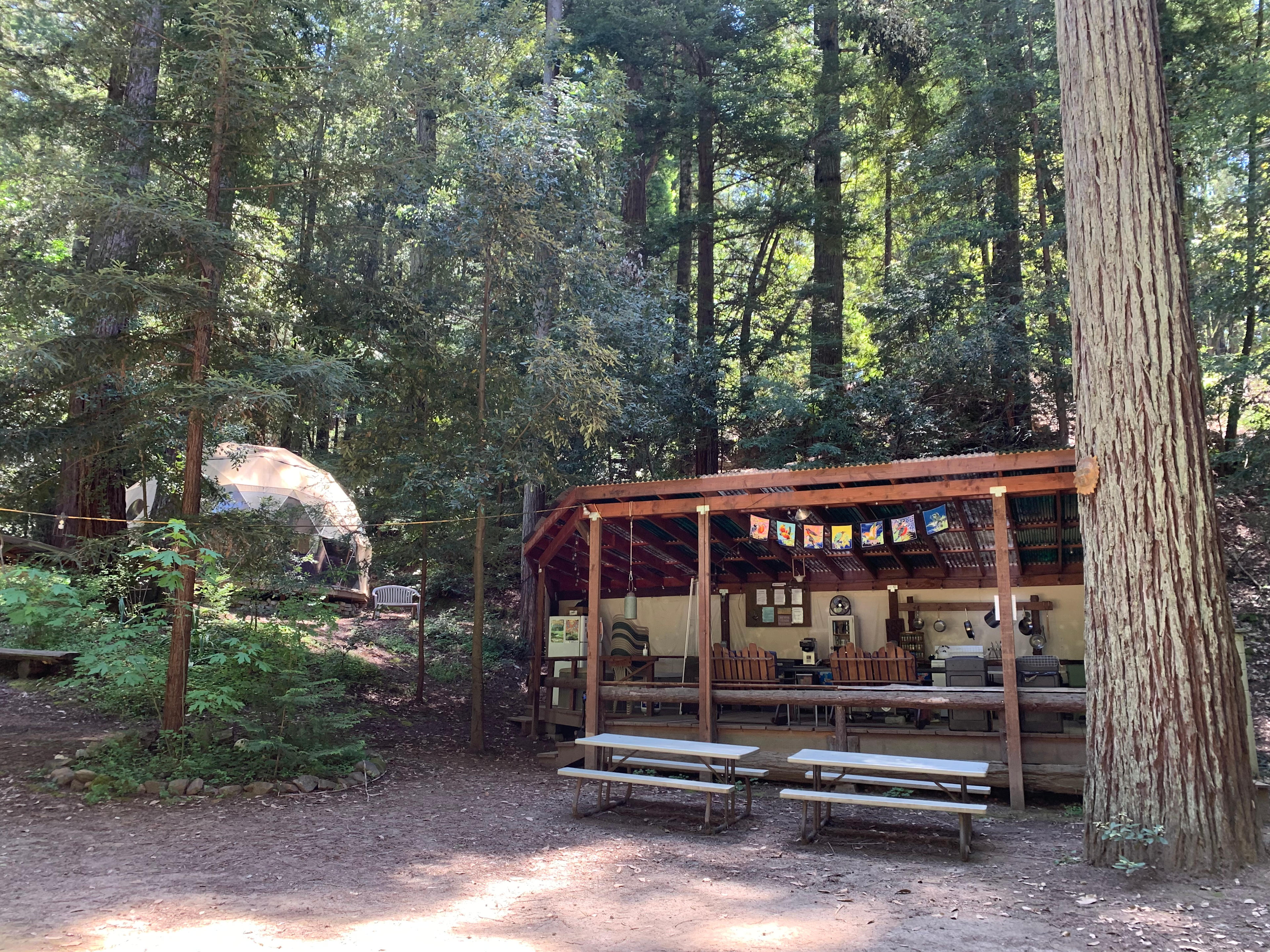 The outdoor kitchen with Eagle’s Nest/Game Dome in the background 