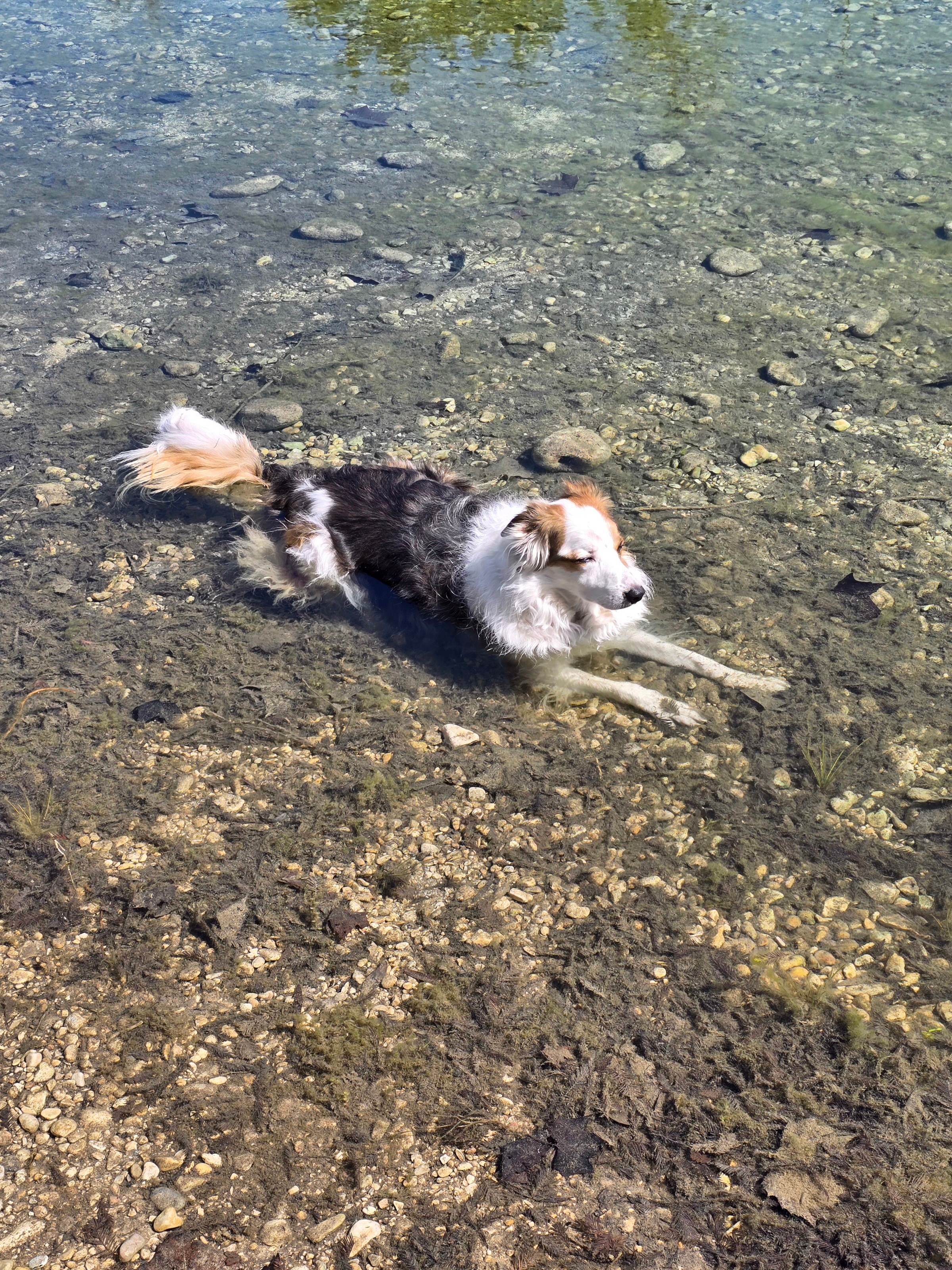 Rio Frio RV Park & Campground