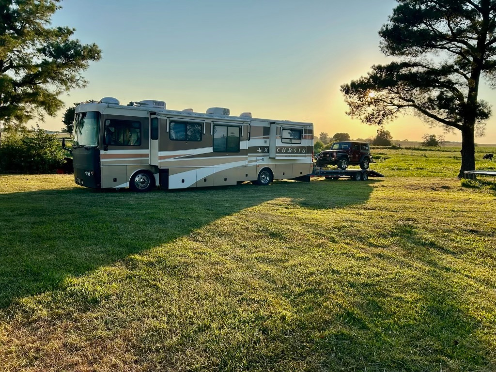 Bald eagle flew right by the popout window during breakfast!