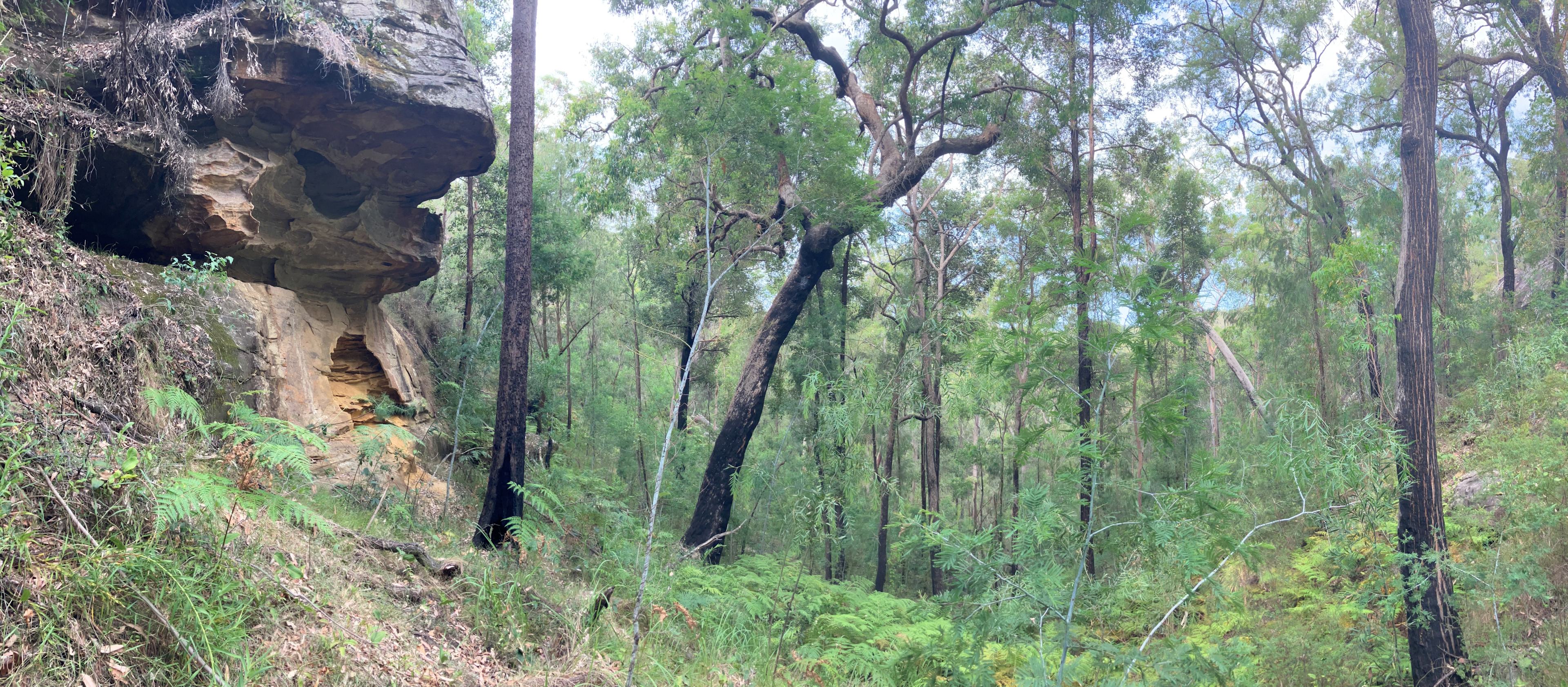 Stickybush Arm Wildlife Sanctuary