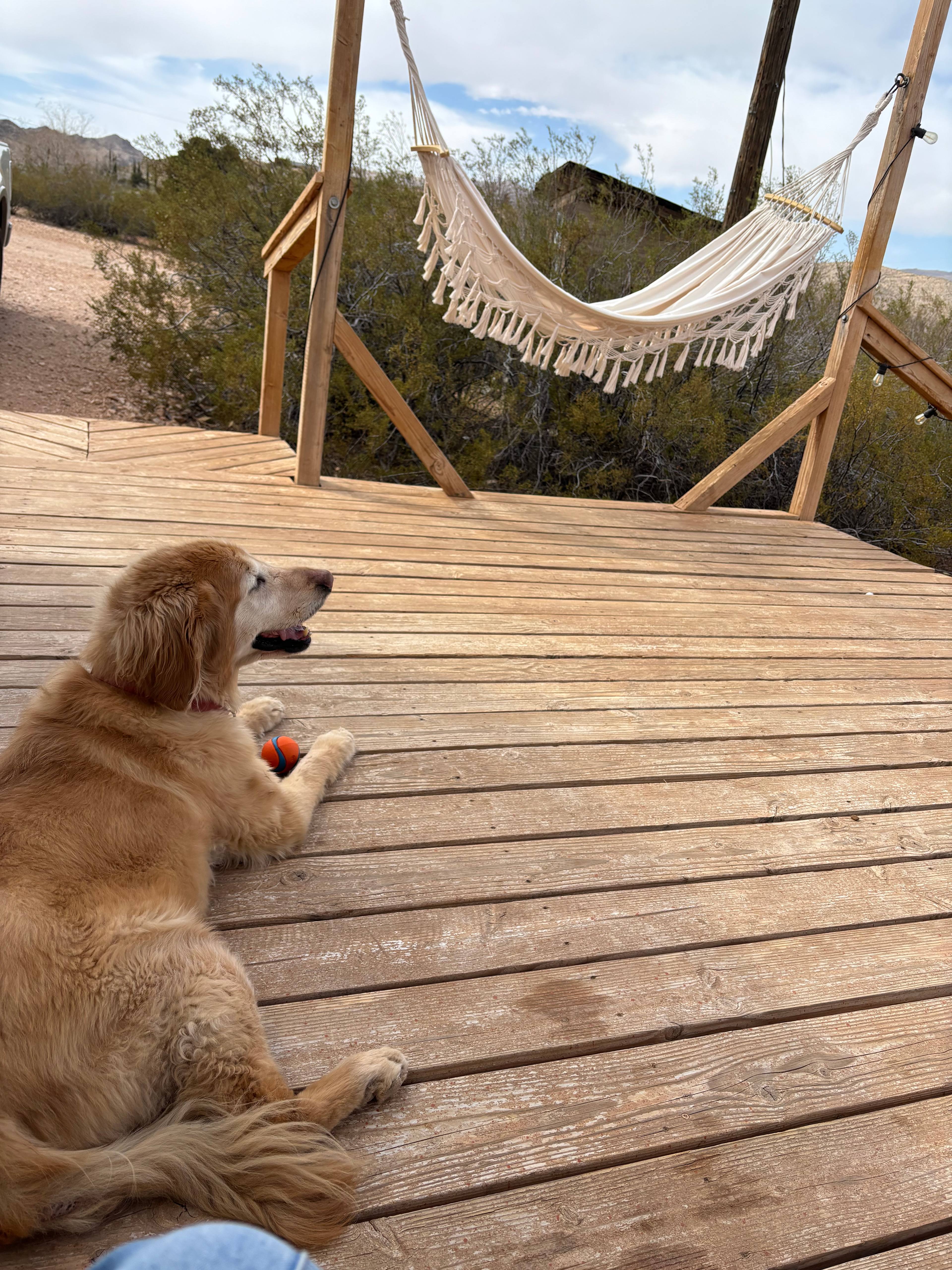 Great deck for the views