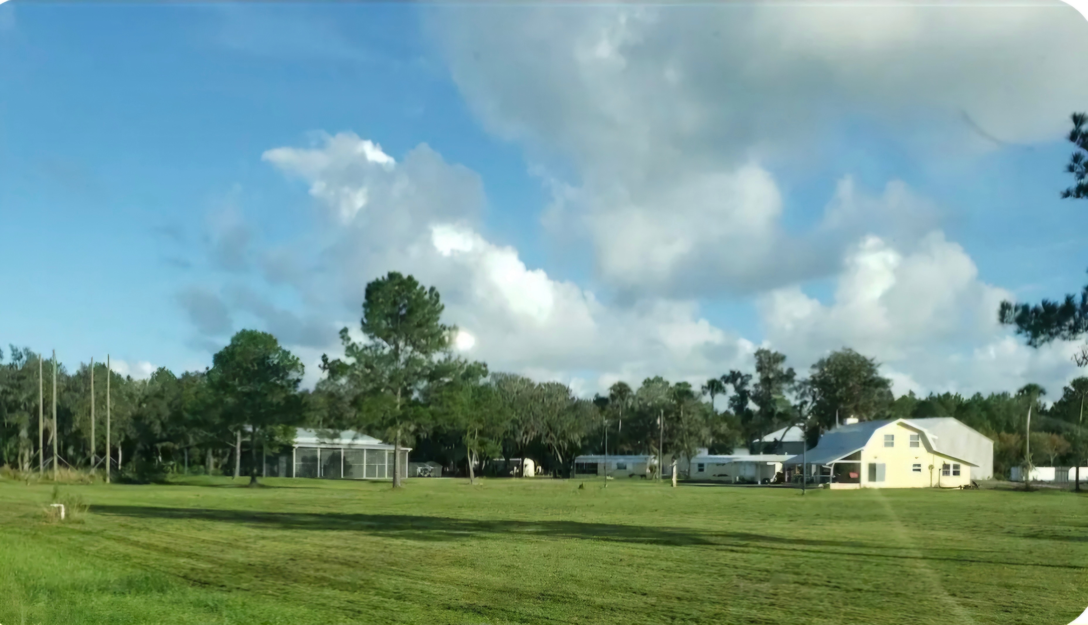 Parrot Palm Ranch Sanctuary