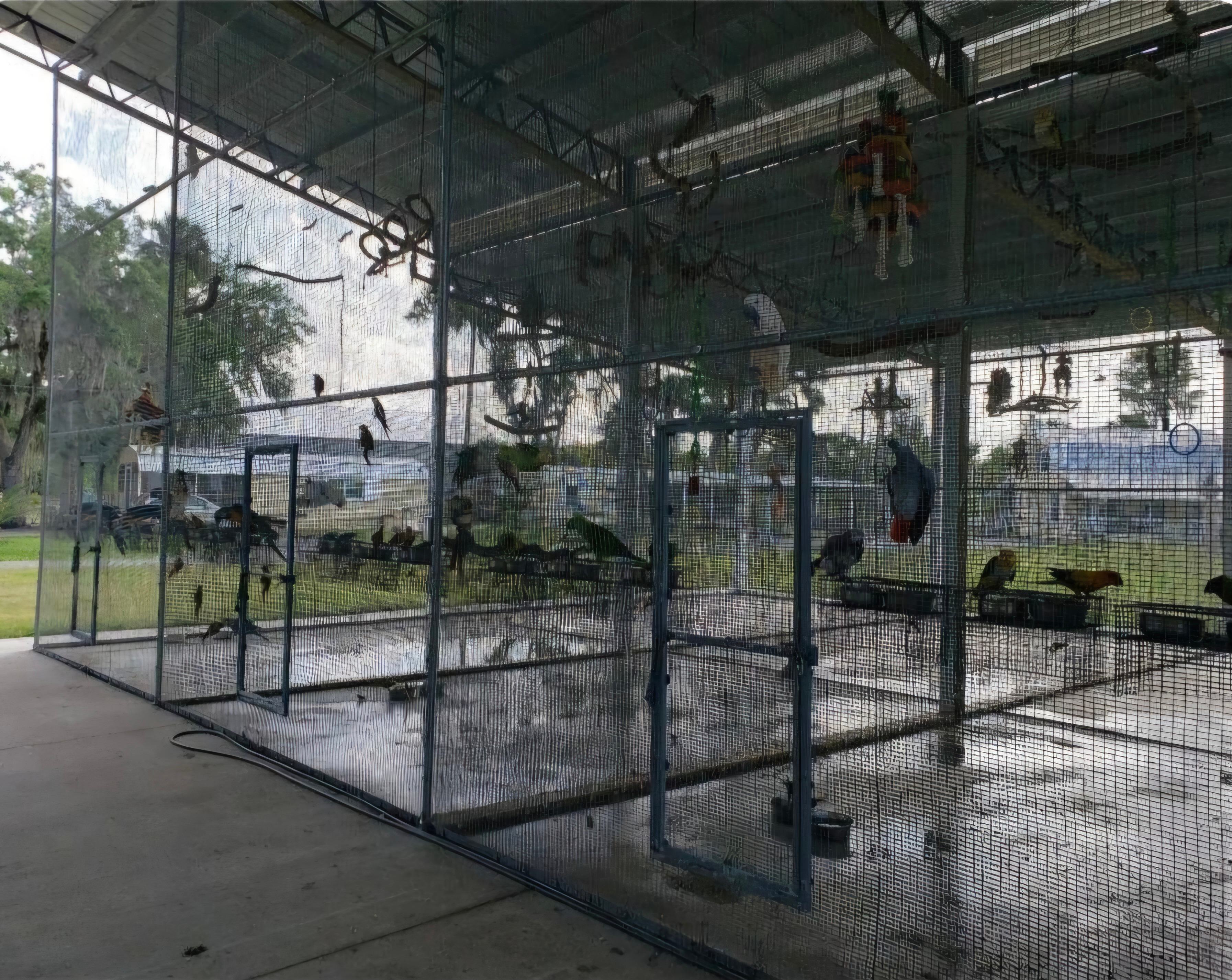 Parrot Palm Ranch Sanctuary