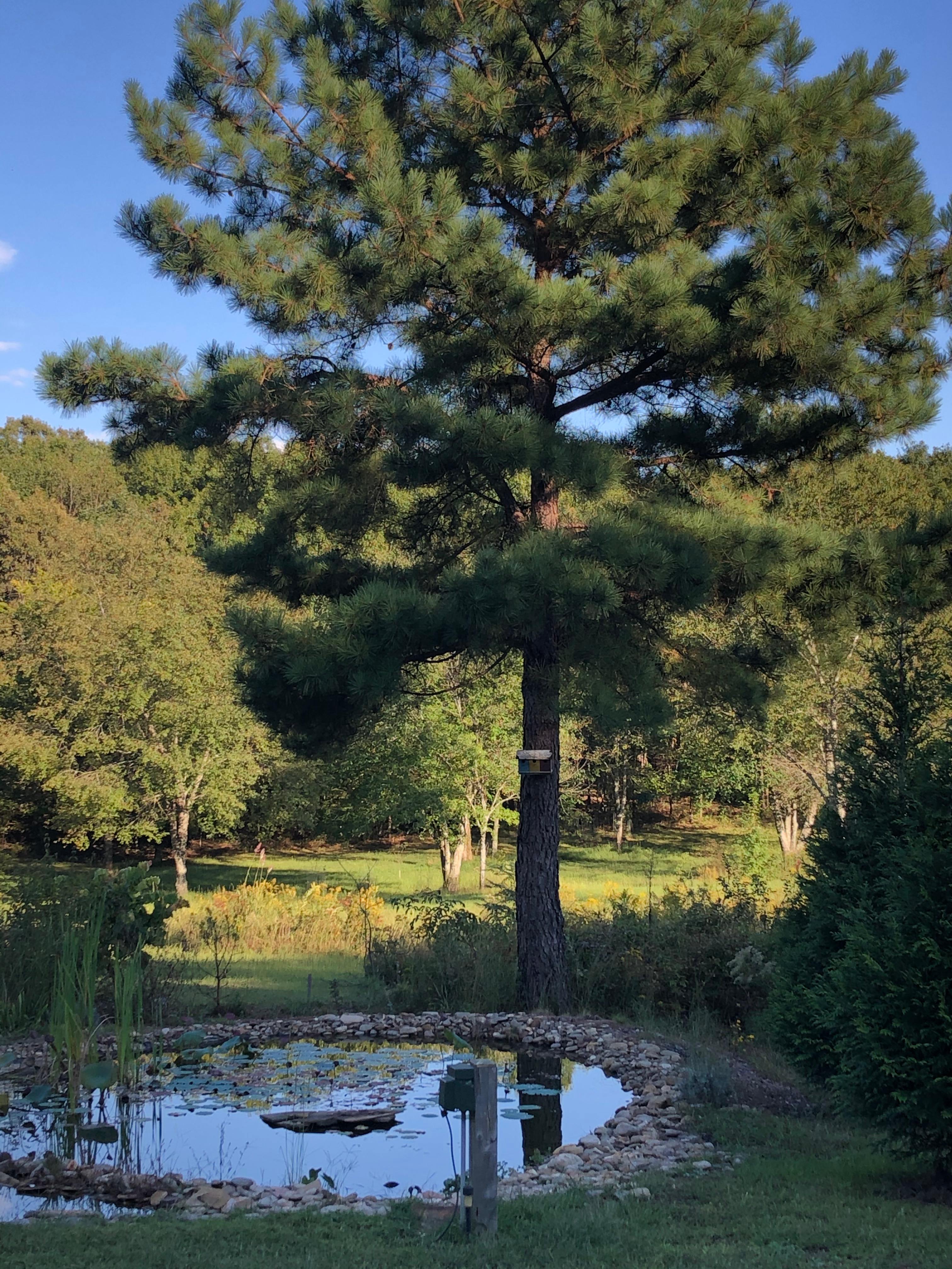 Uplifting Retreat at Swan Center TN