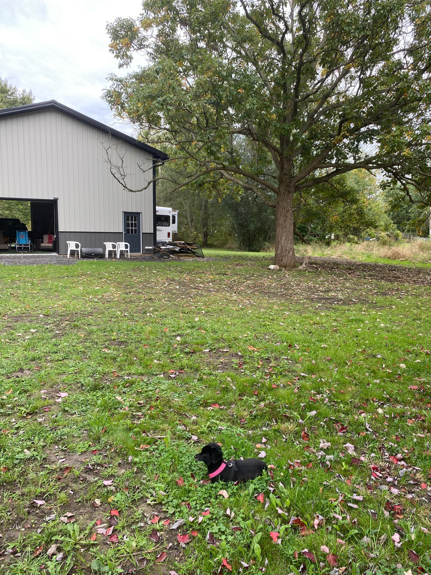 Bianca's Barn On Black Creek