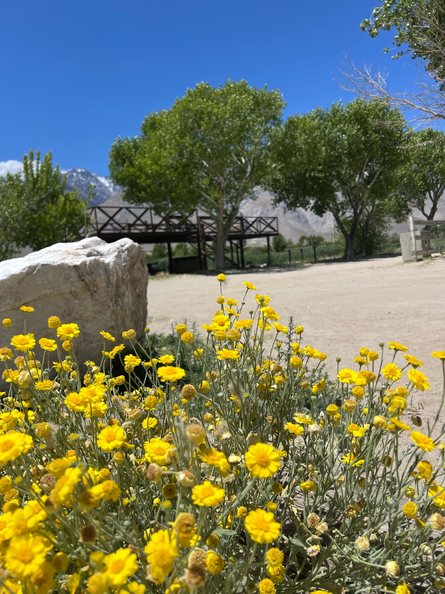 Lake Olancha RV Park Campground