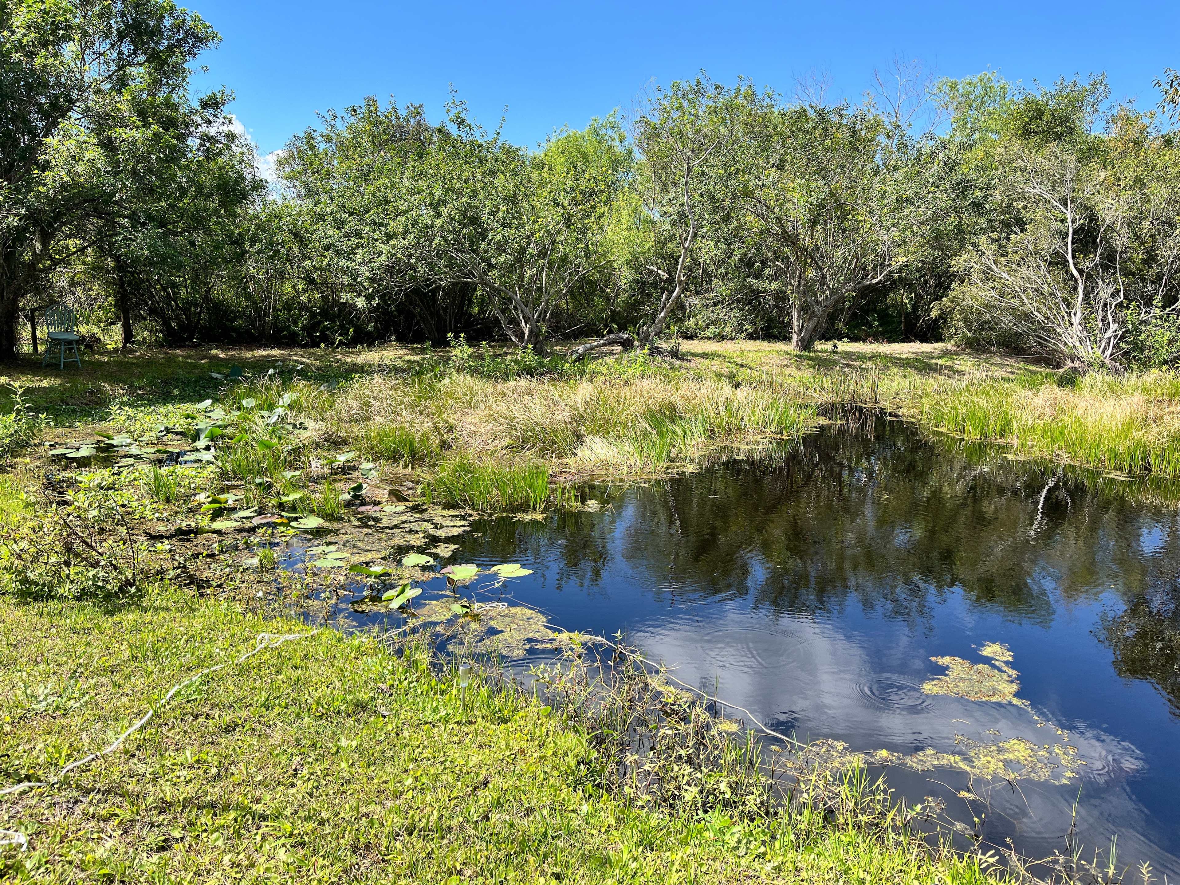 A.N.D Glowing Nights