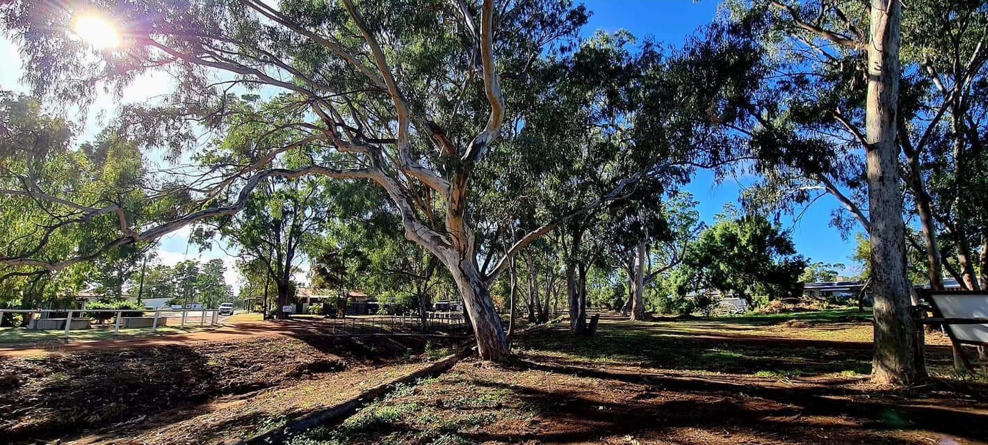Cobb & Co Caravan Park