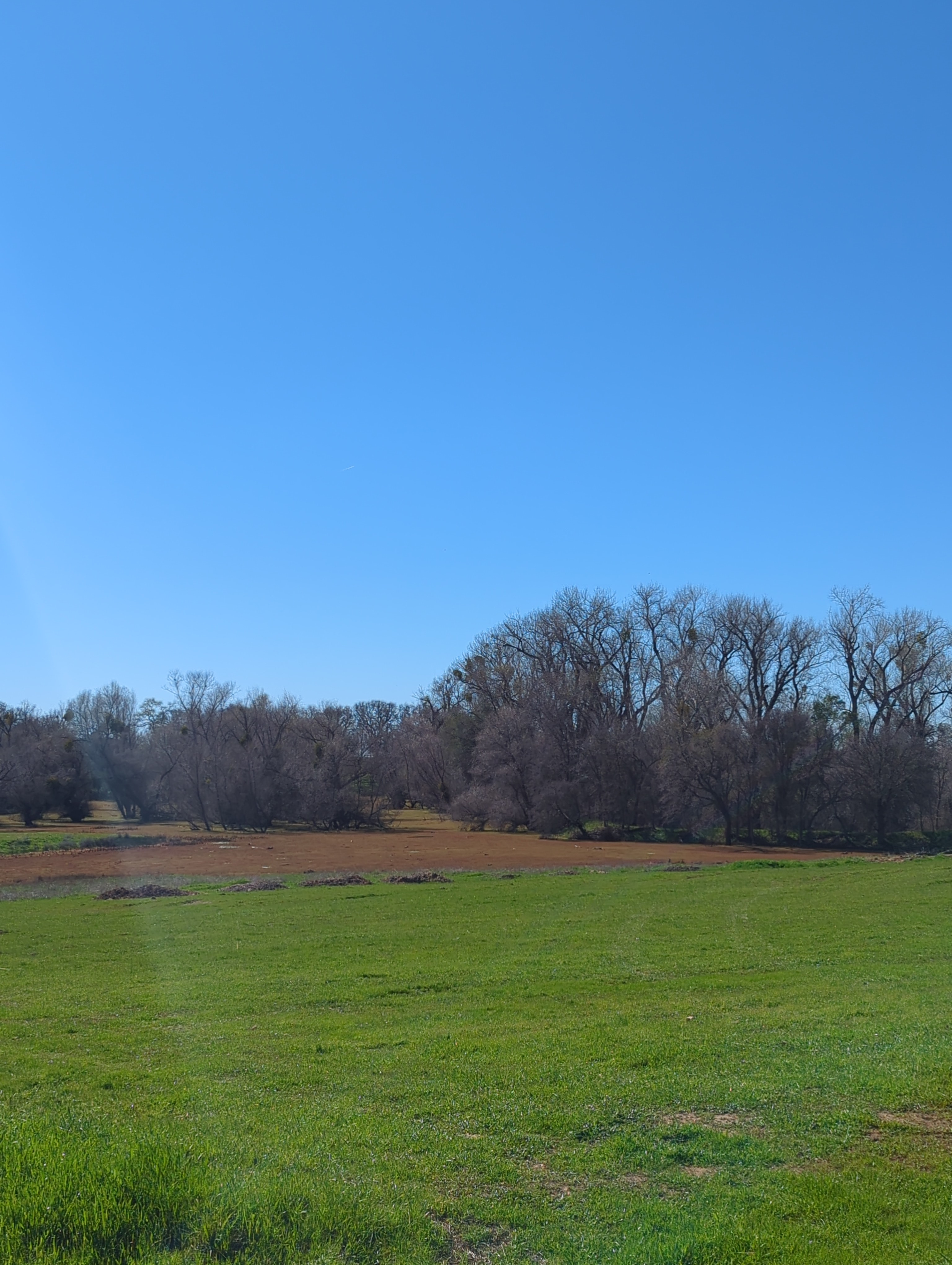 Blackhawk Ravine Campground