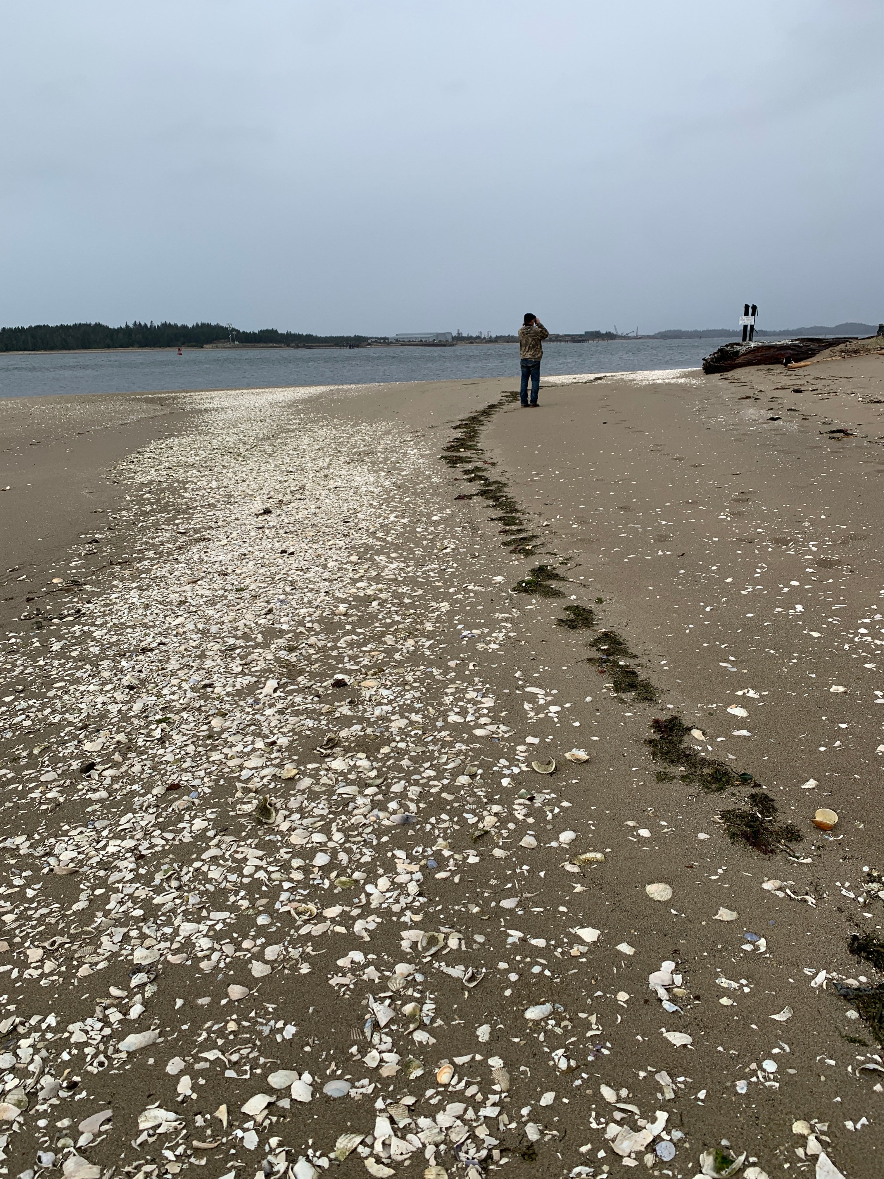 Strawberry Island private beach