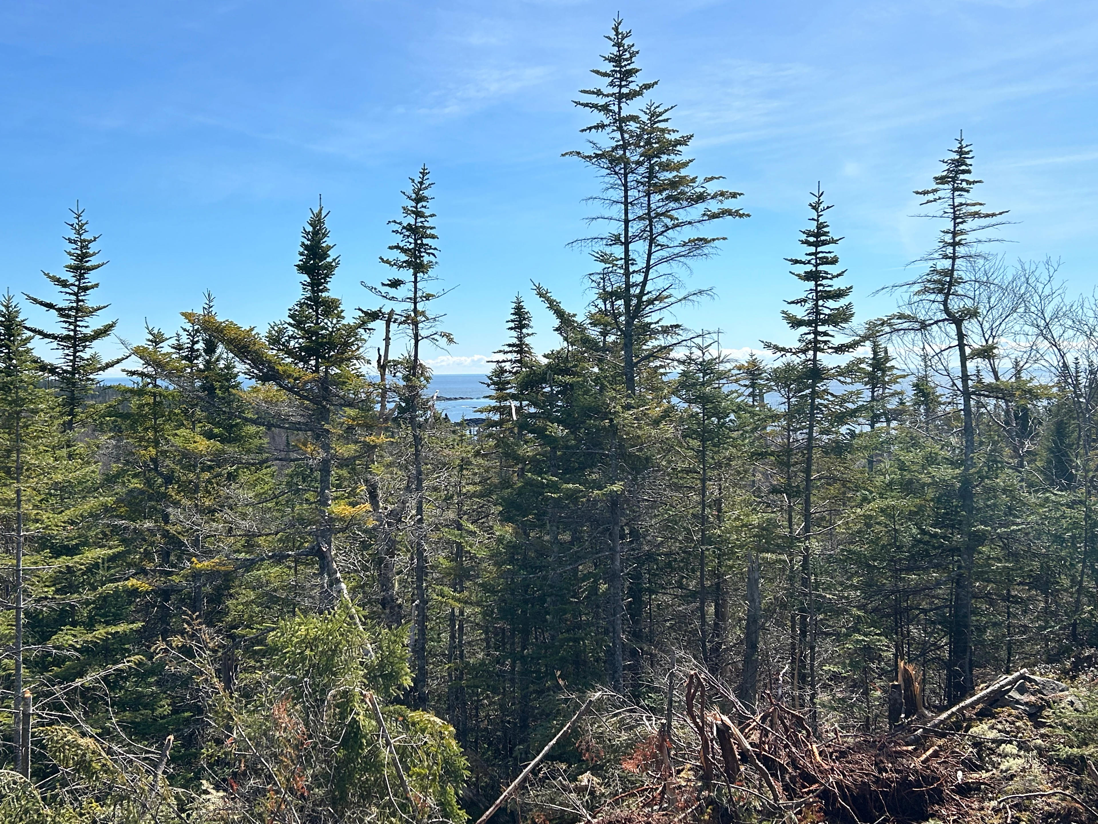 Secluded Ocean View Camping