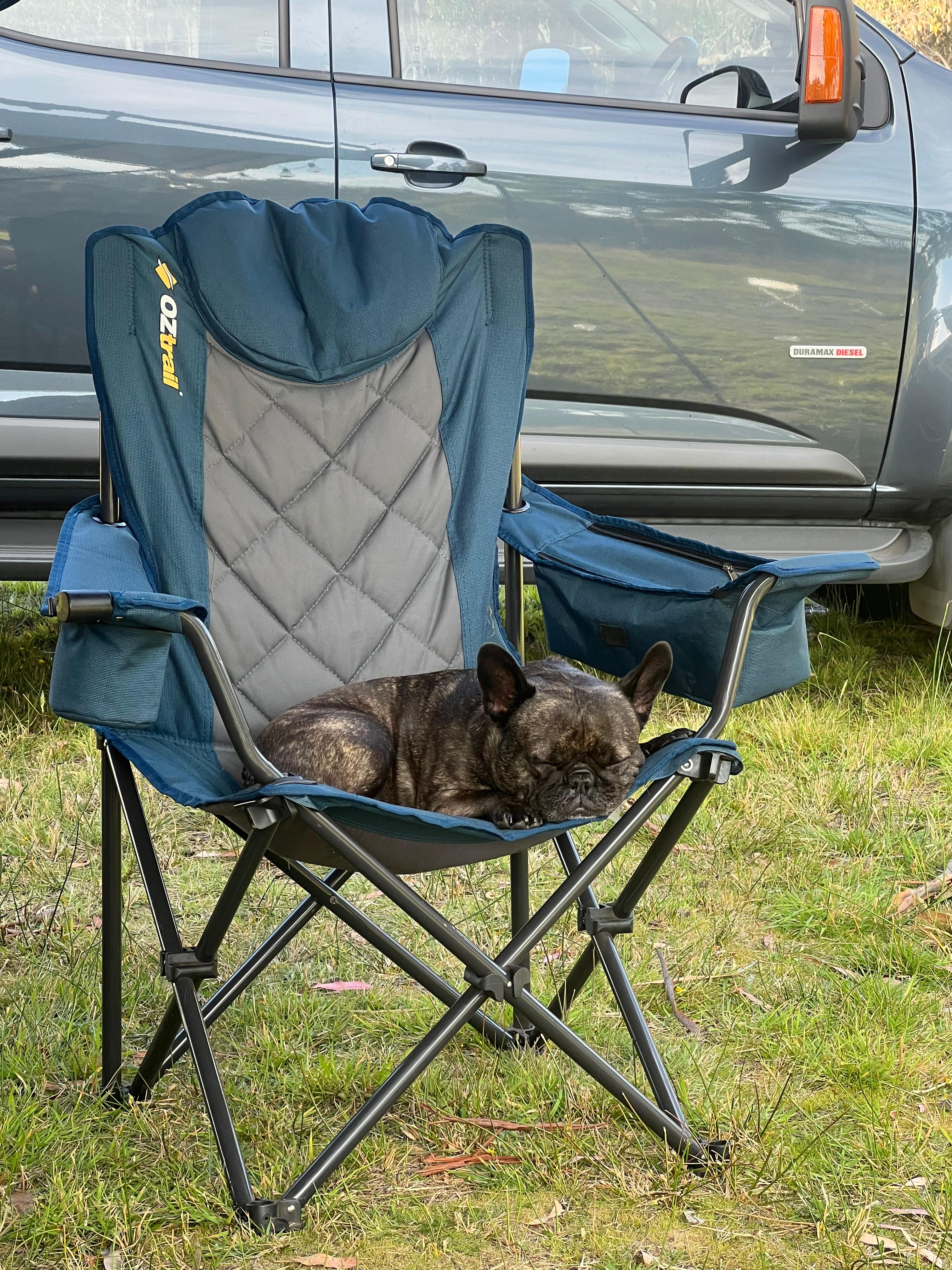 White Hill Nature Camp