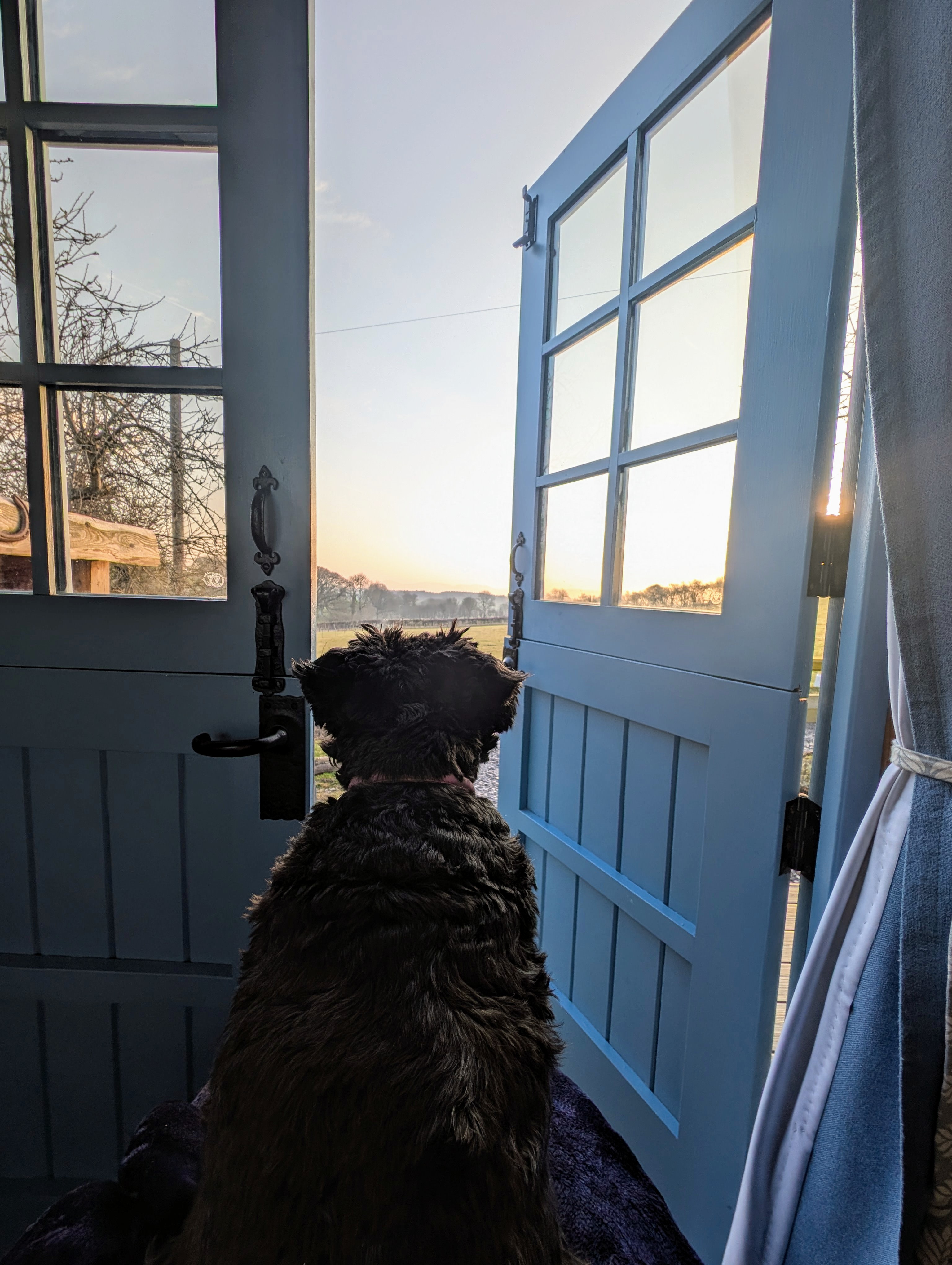 Maes Heddwch/Peaceful Field