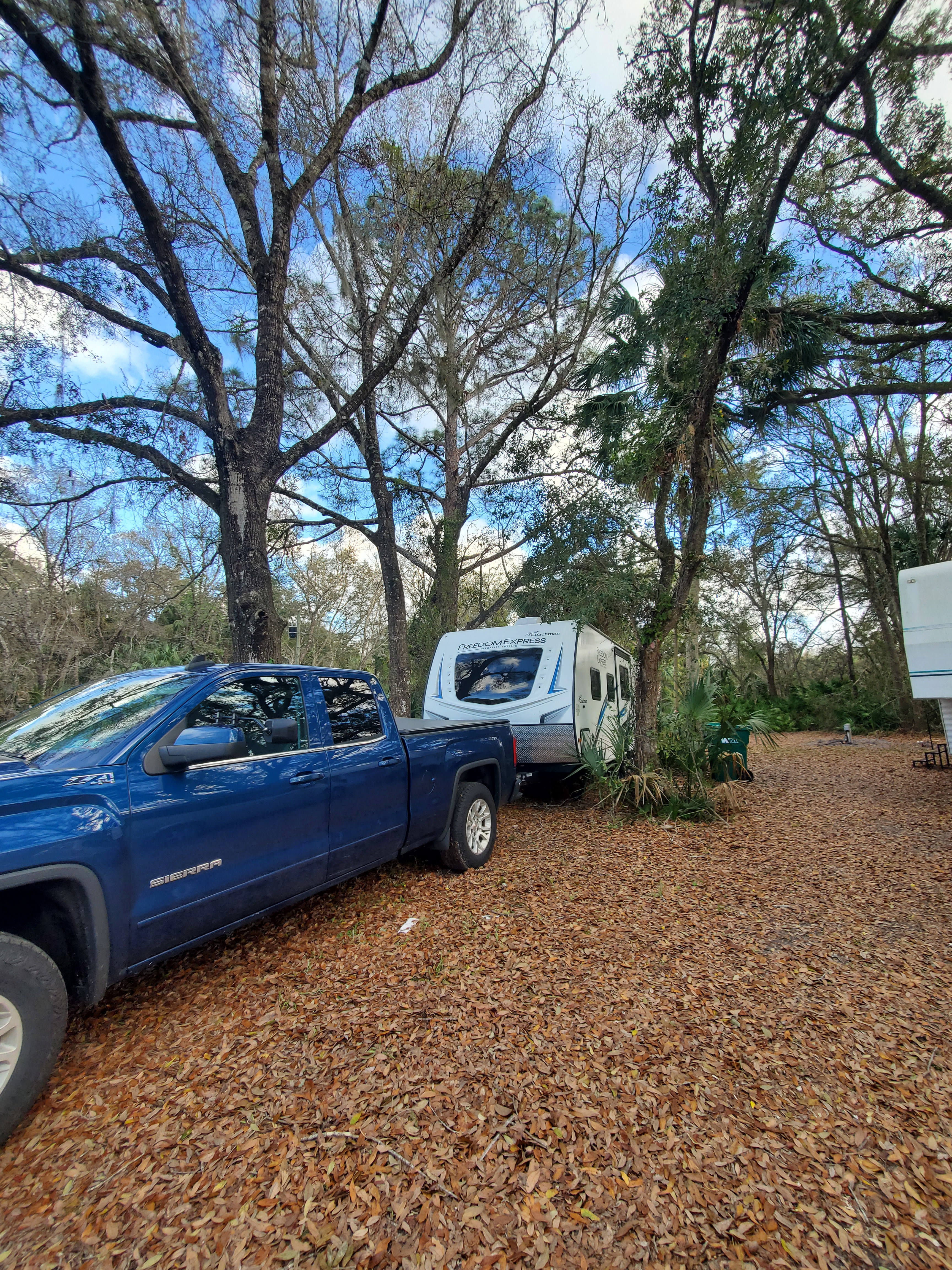Parked between the trees , second spot to the right
