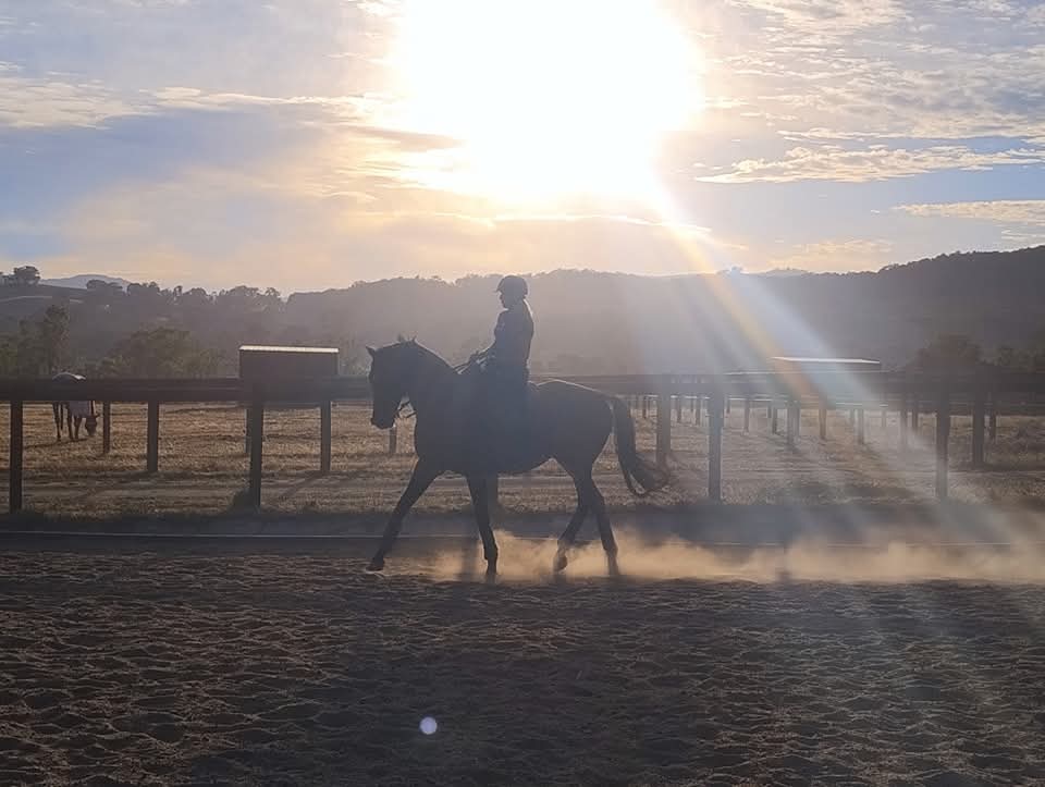 Glenwood Farm Equestrian Centre