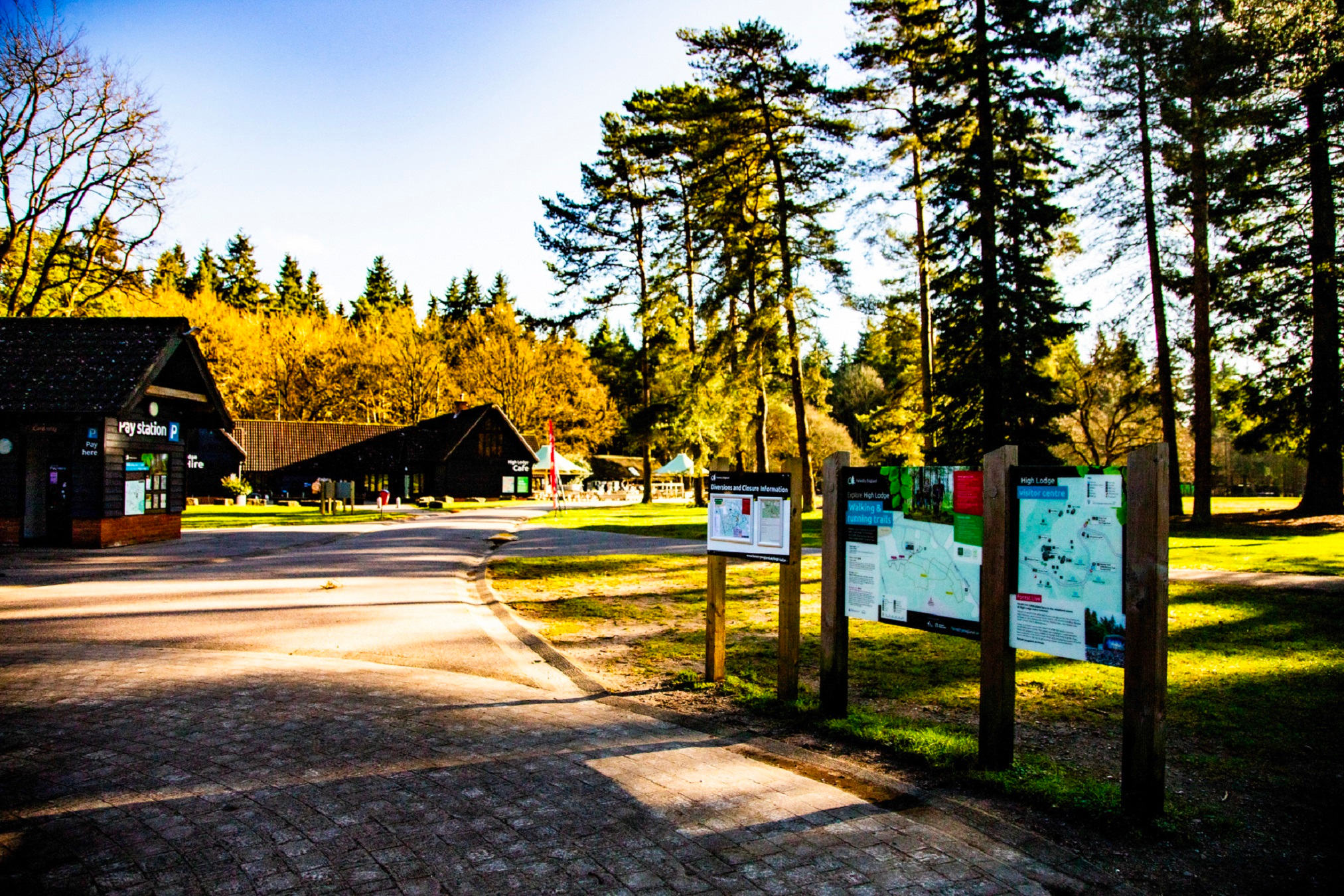 Go Wild Camping & Glamping Thetford