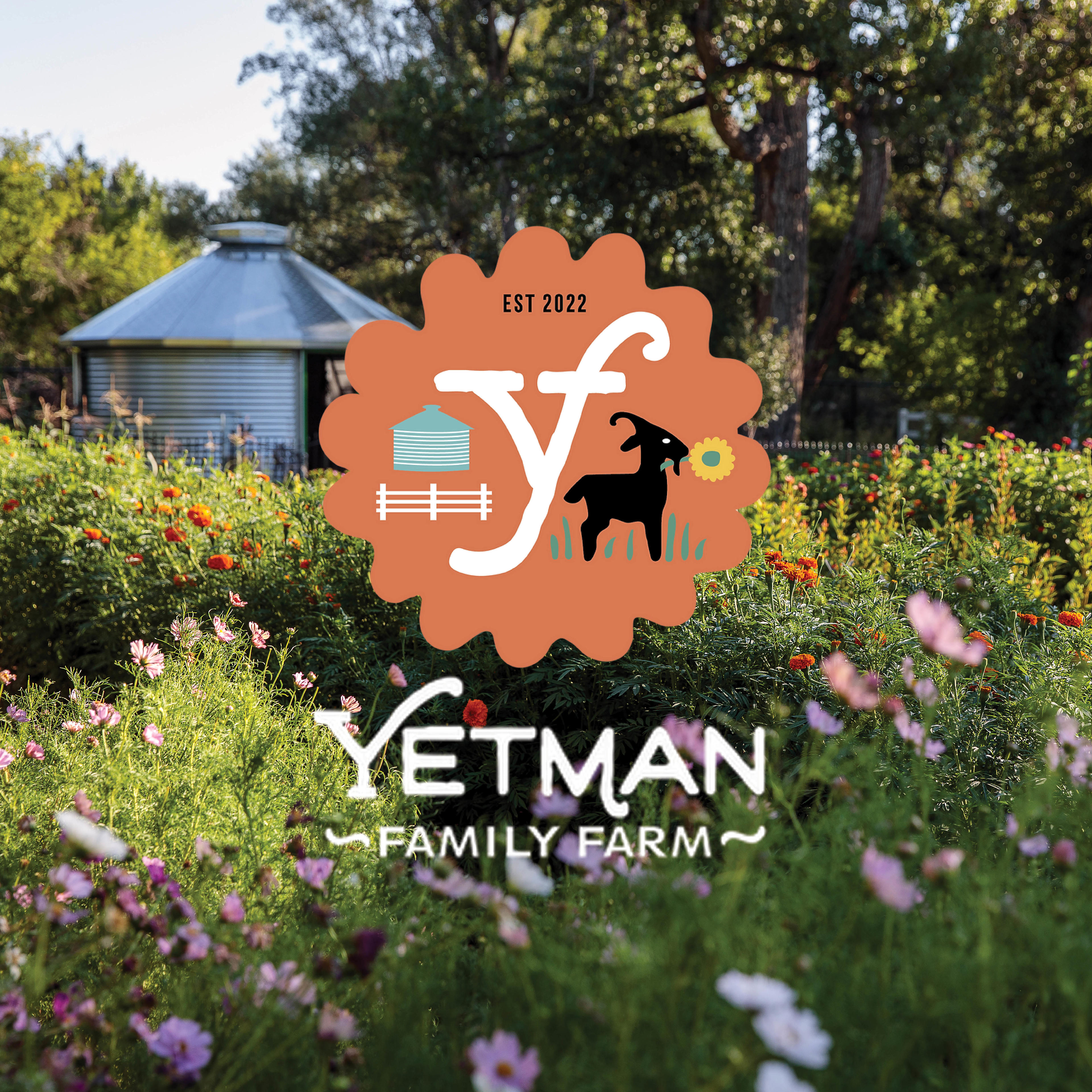 Urban Flower Farm Oasis