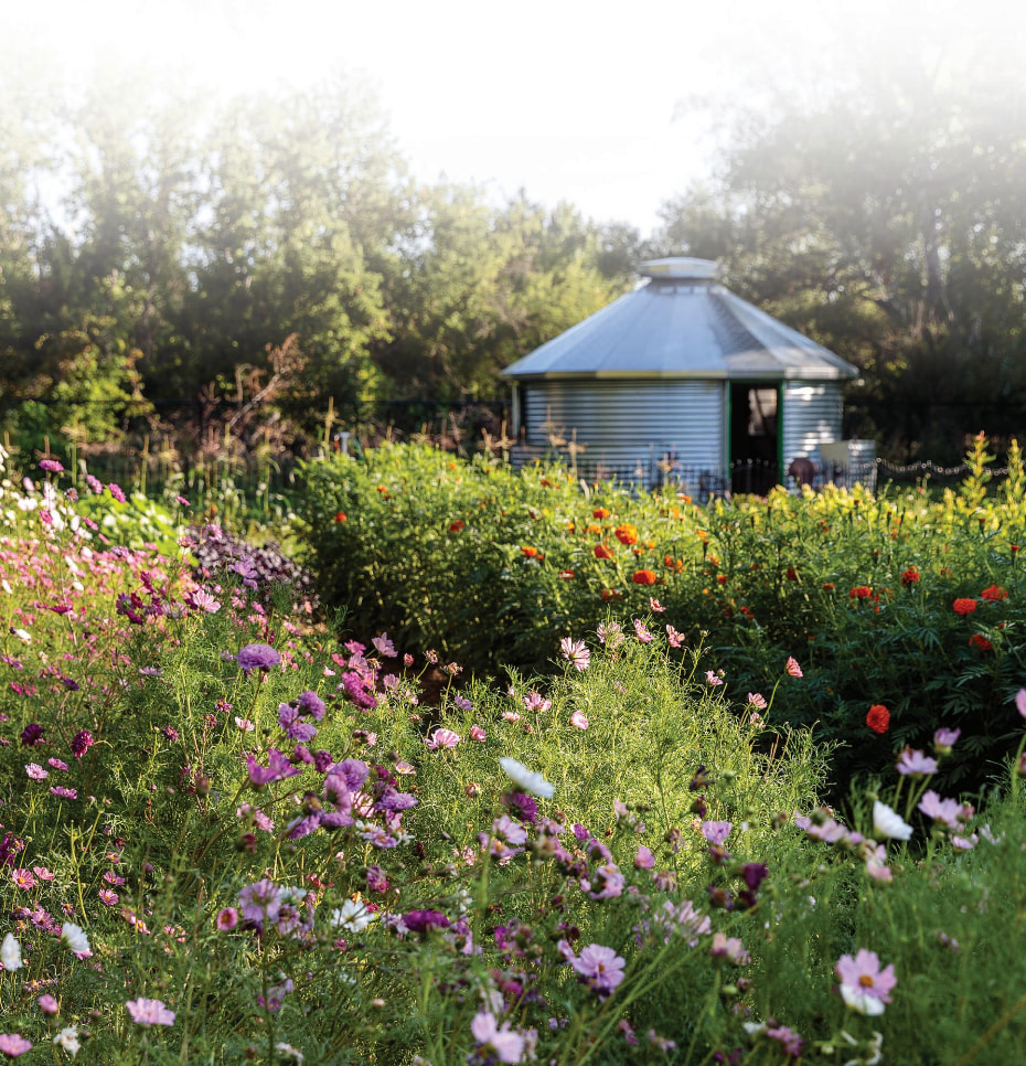Urban Flower Farm Oasis