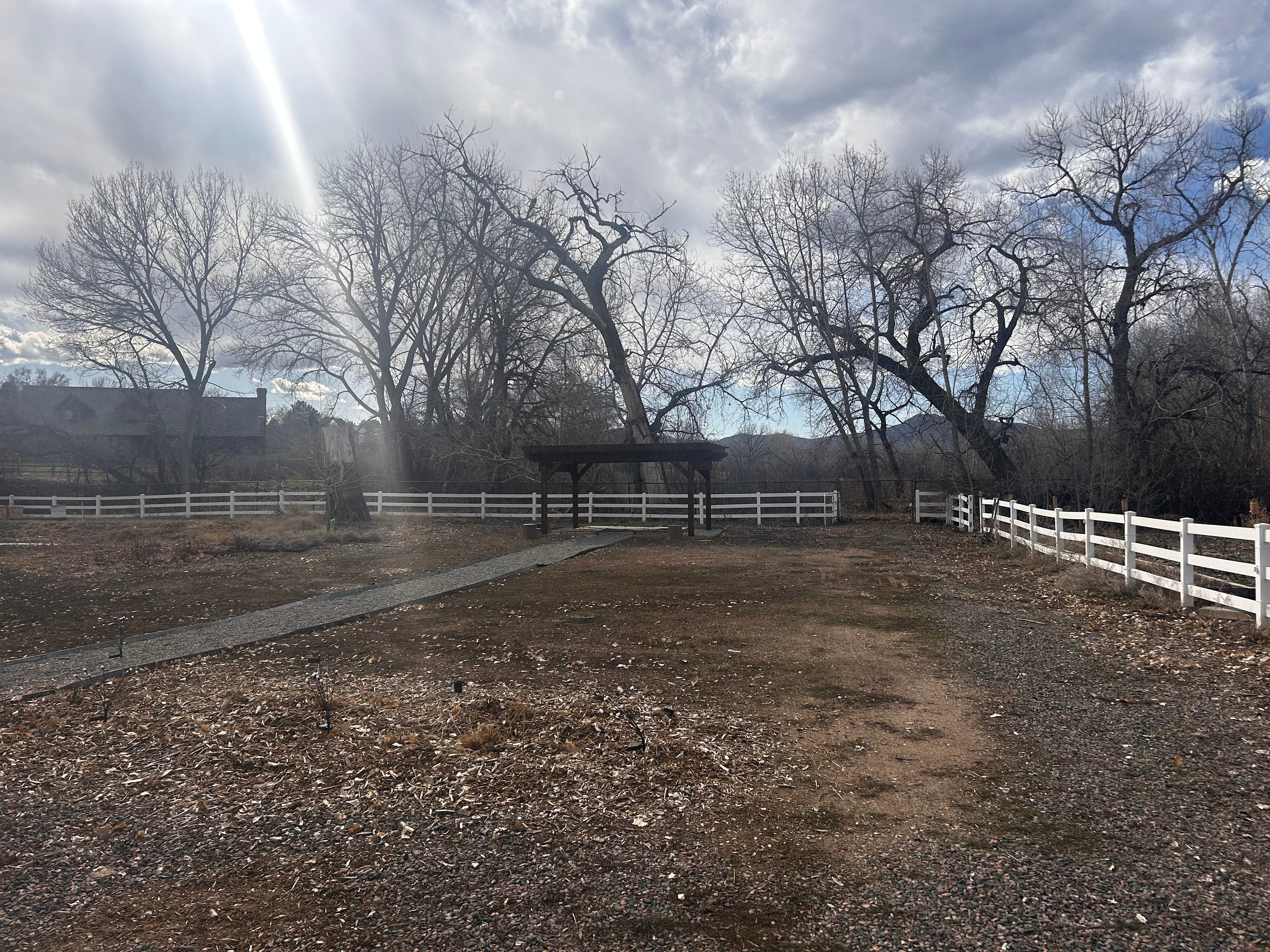 Urban Flower Farm Oasis