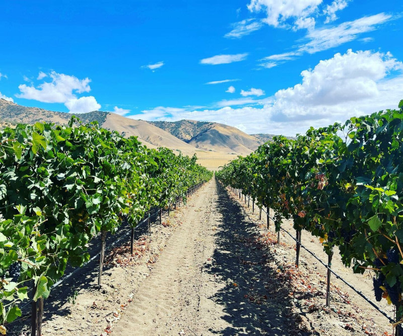 Tehachapi Winery