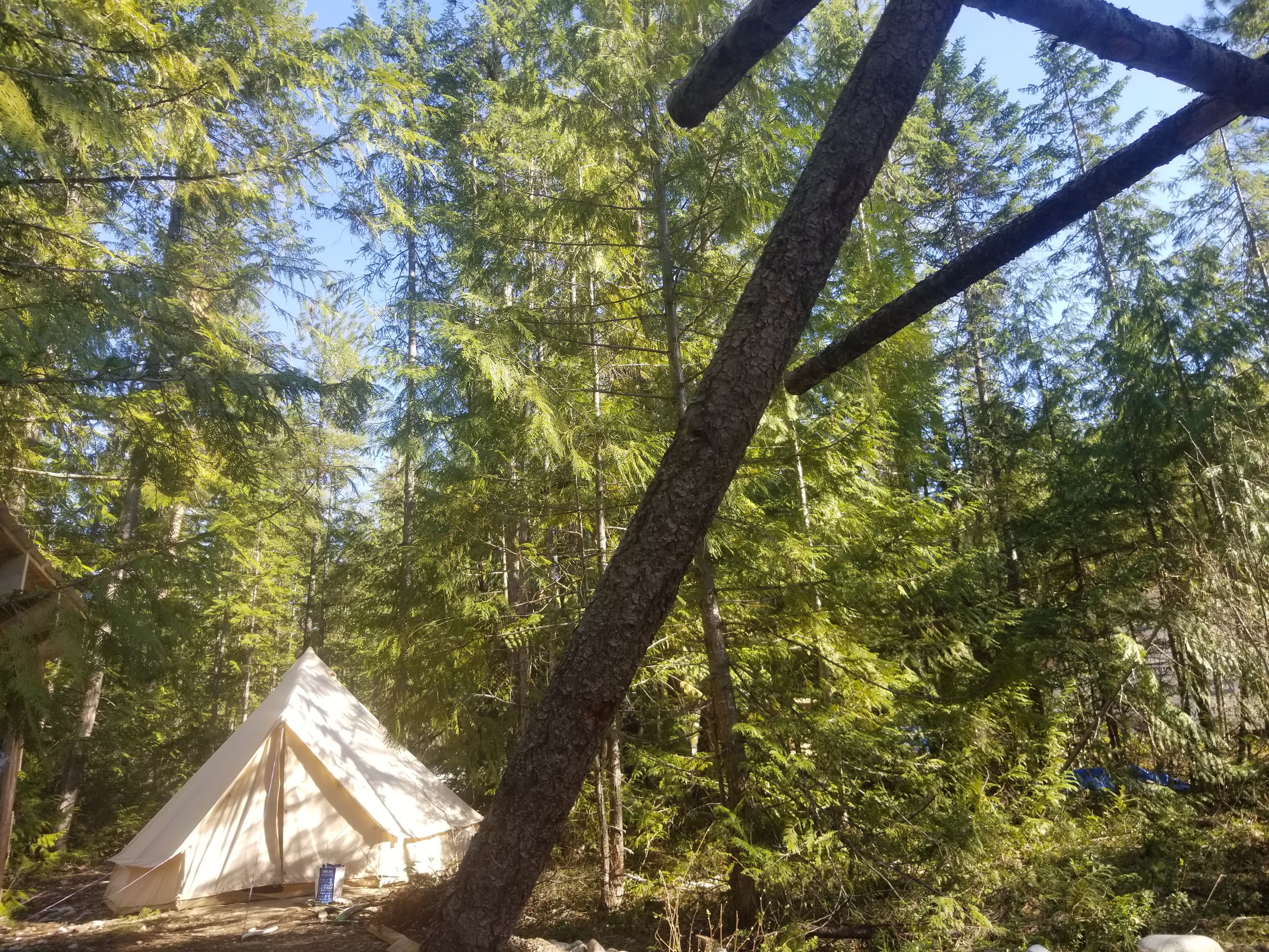 Tent from the fire pit