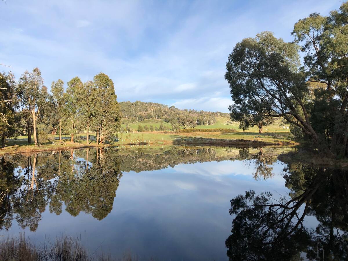Boondaburra in Ruffy