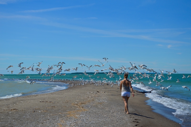 Couples Island Campsite - Lake Erie