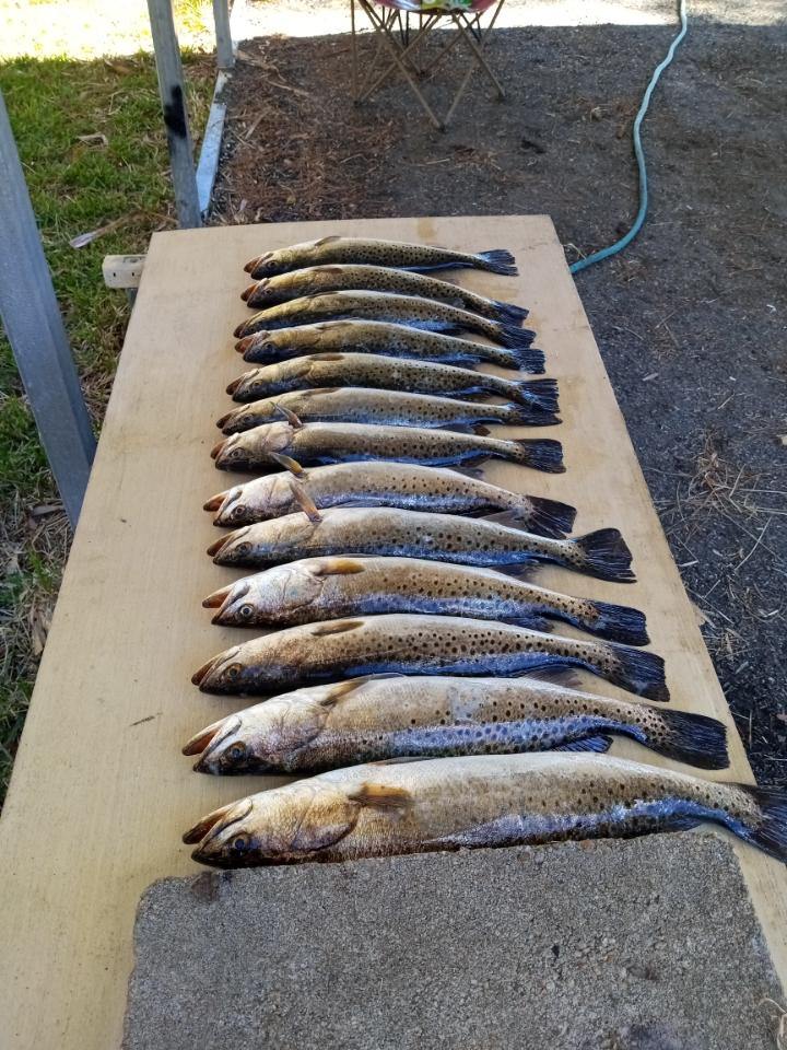 Limit out on Trout, Redfish, Scallops, Flounder, Sea Bass, etc.