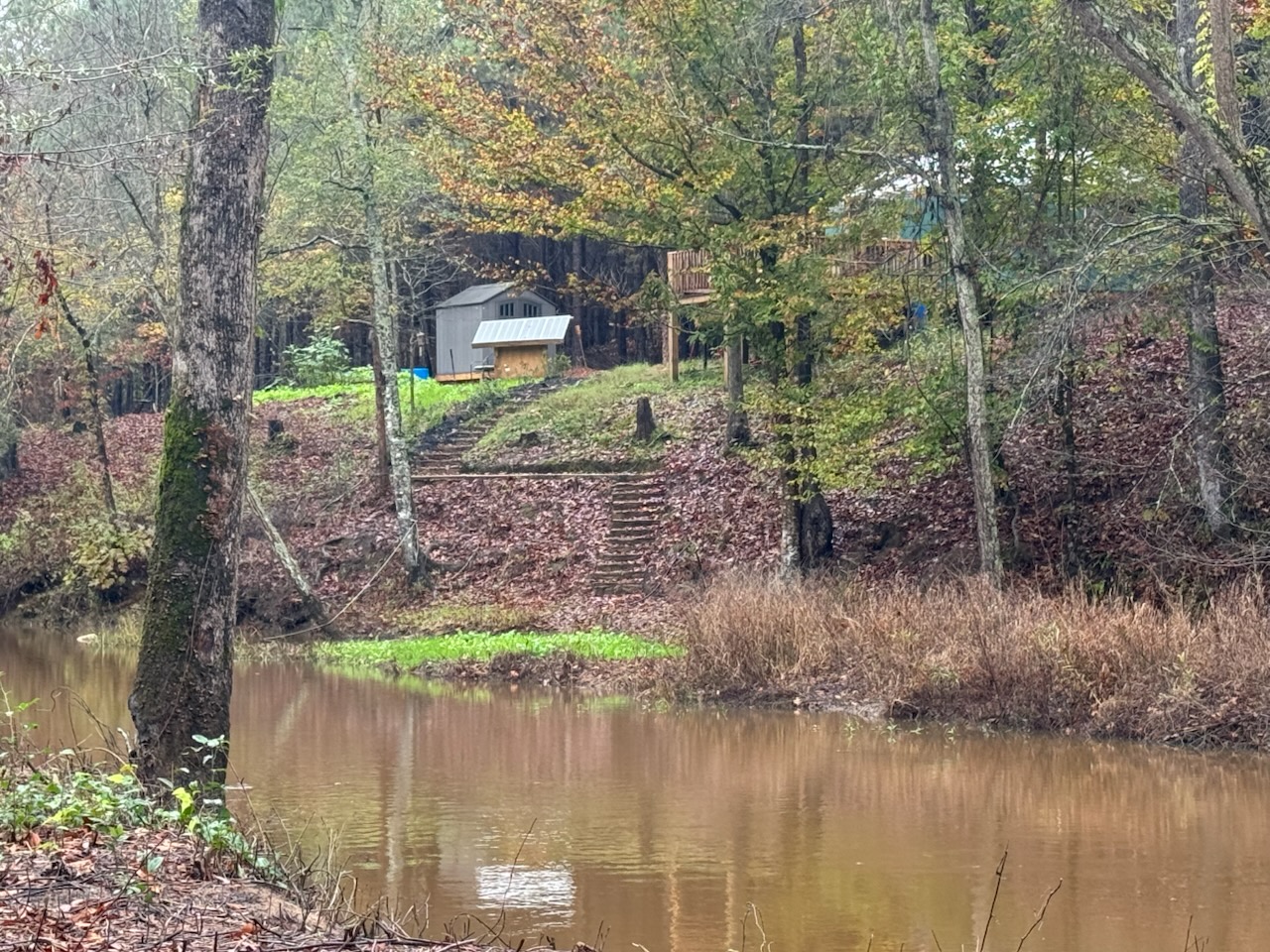 Wolf River Headwaters