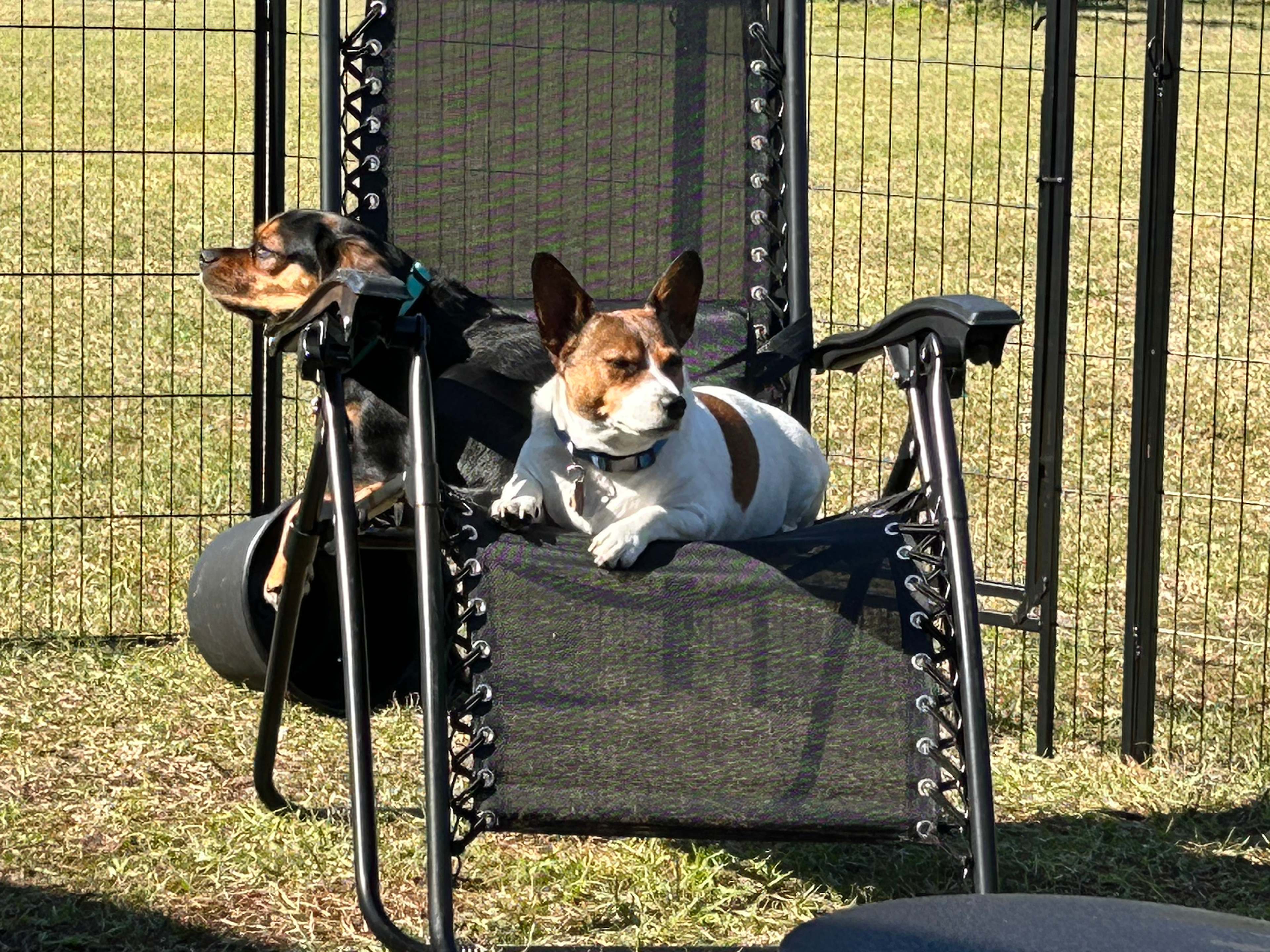 Vineyard Lake Getaway