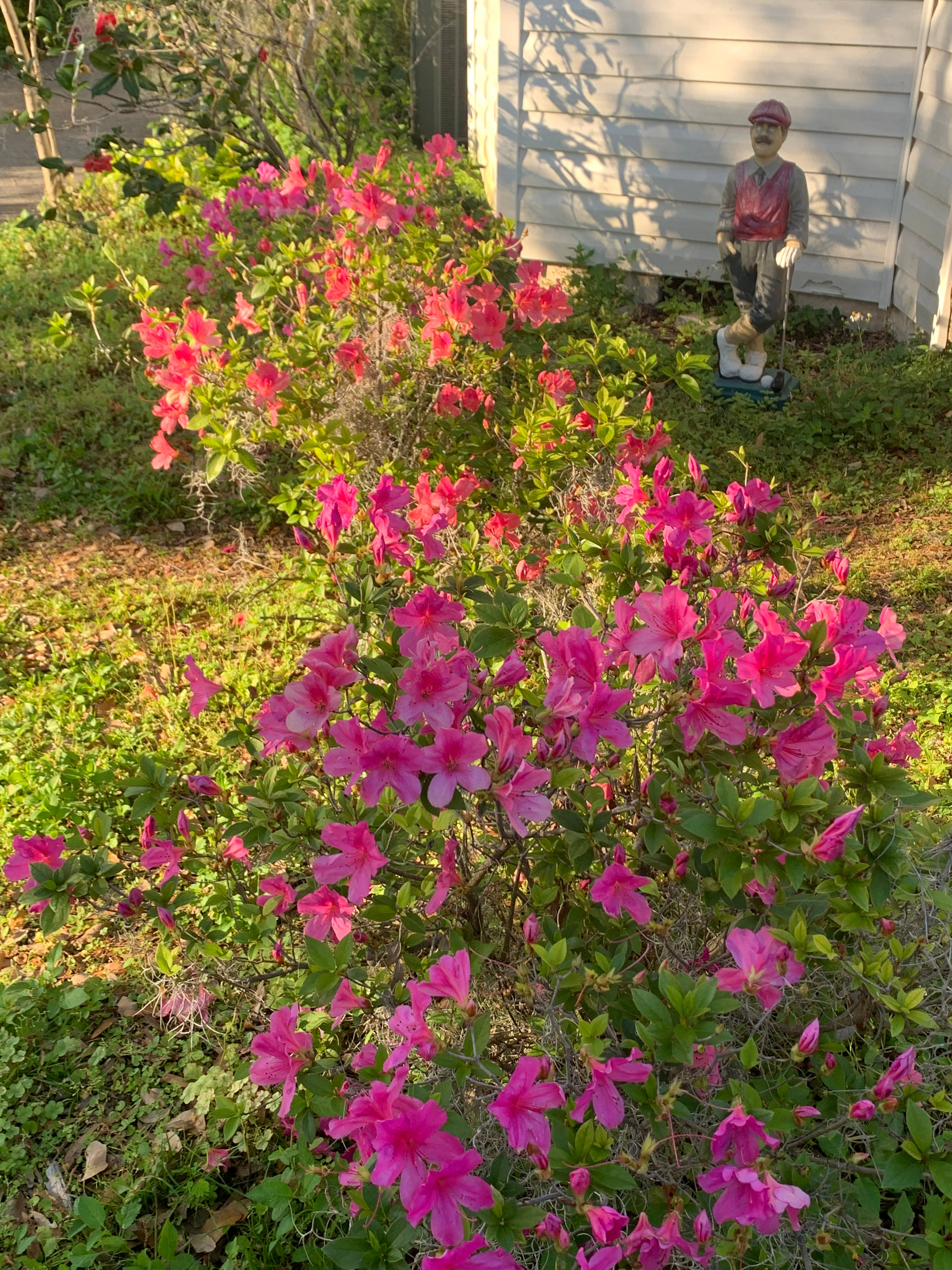 Picturesque Mango Tango Estate