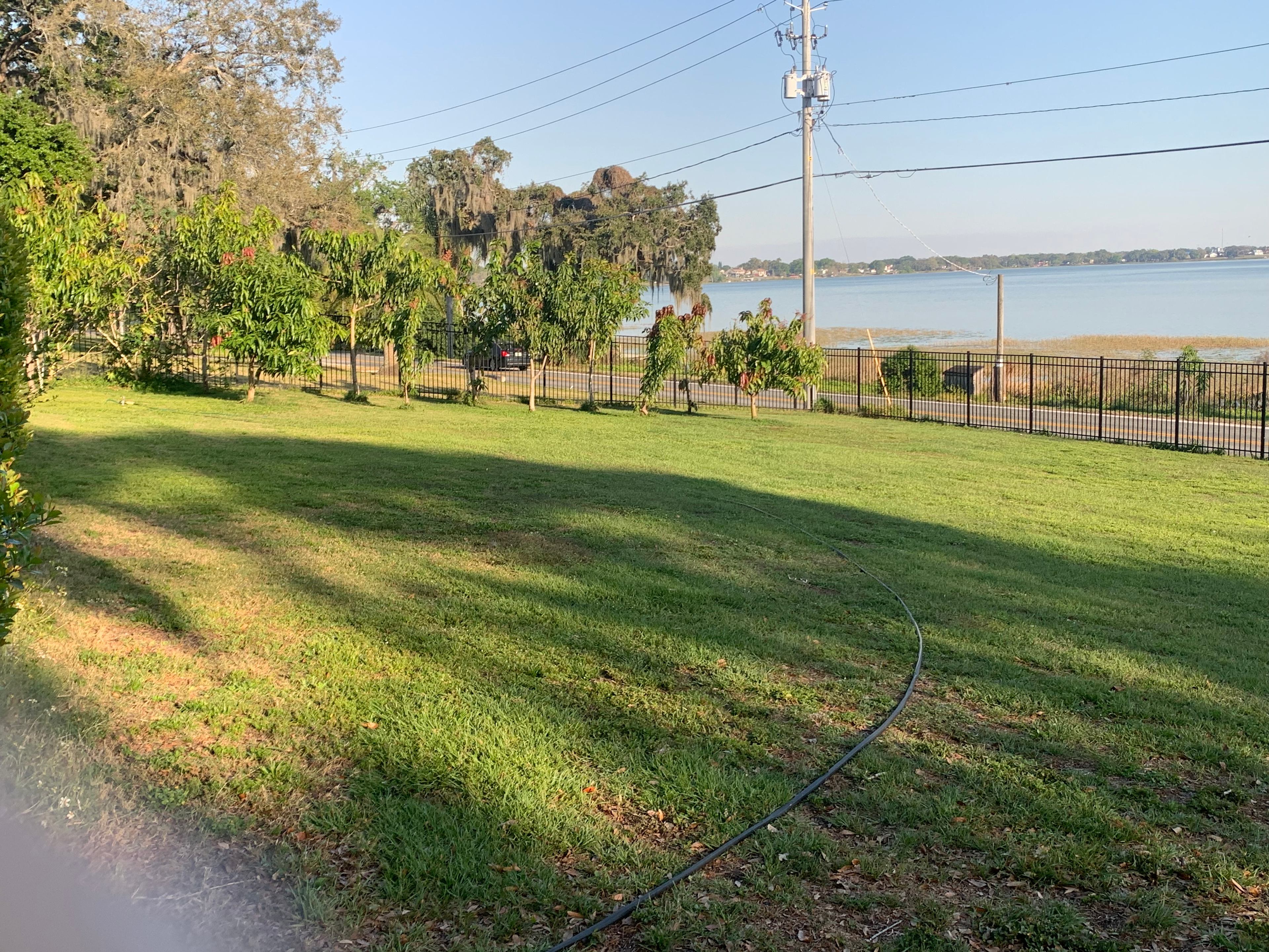 Picturesque Mango Tango Estate