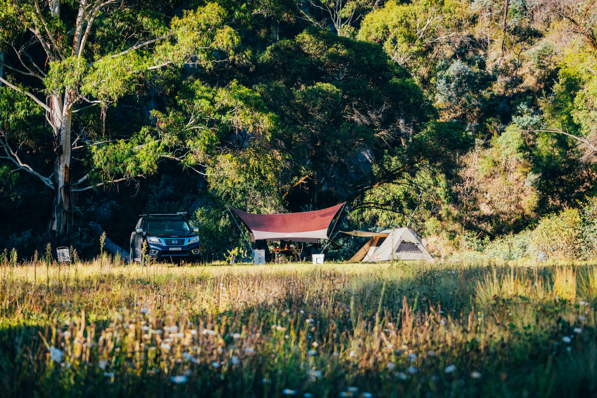 morning on the campsite 2